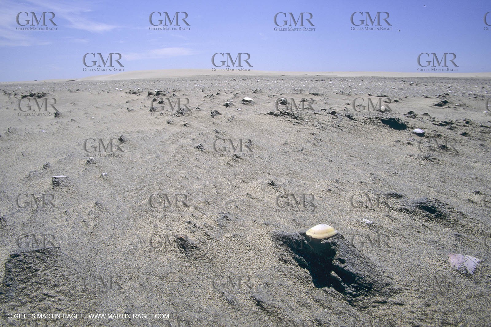 France, Provence, Camargue, Nature, plage, sable
