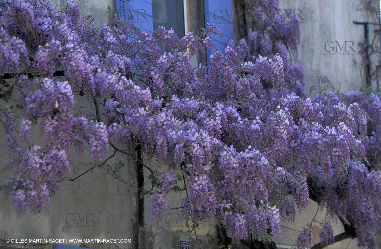 Saint Rémy de Porvence