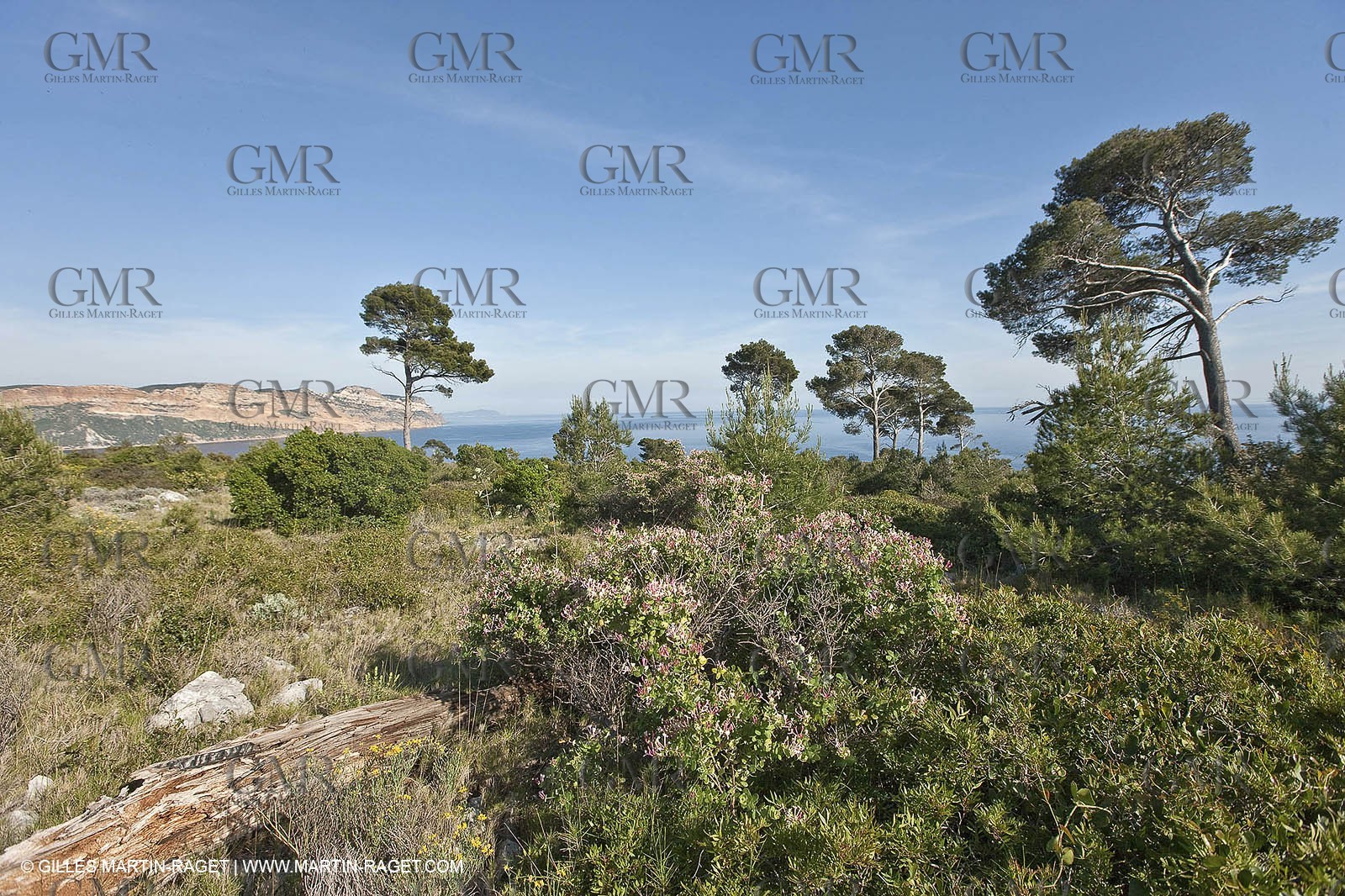 06 05 2009 - Marseille (FRA, 13) - Les Calanques - On Castelviel plateau