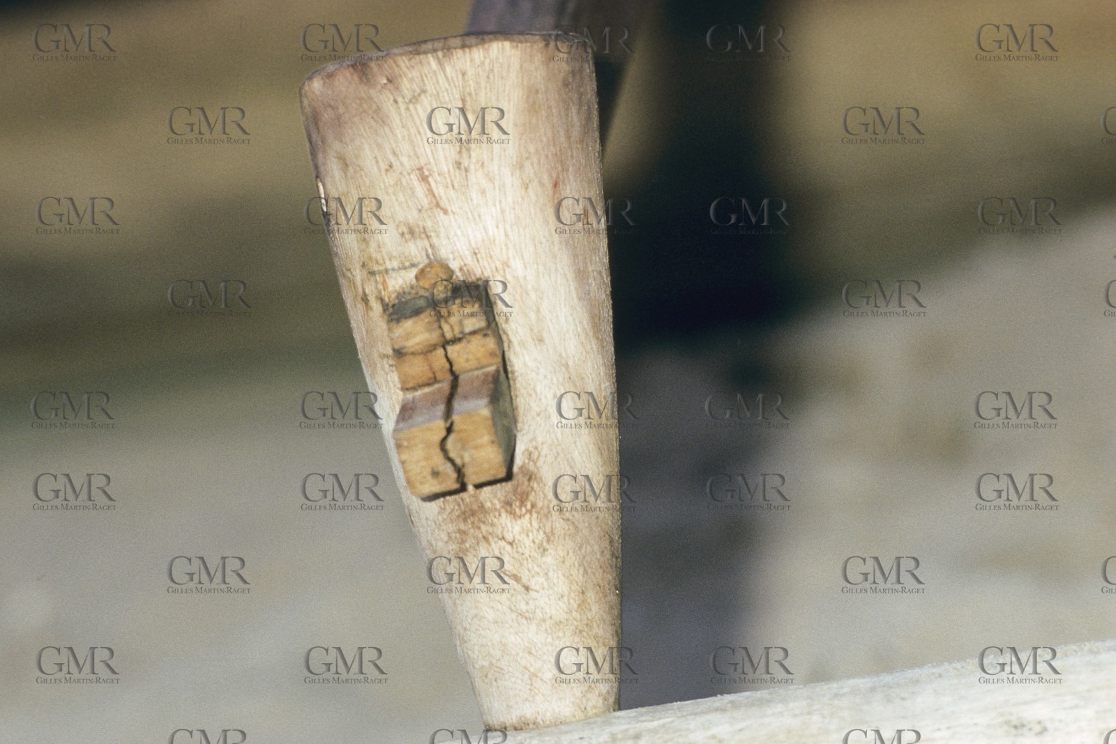 Destinations, Madagascar