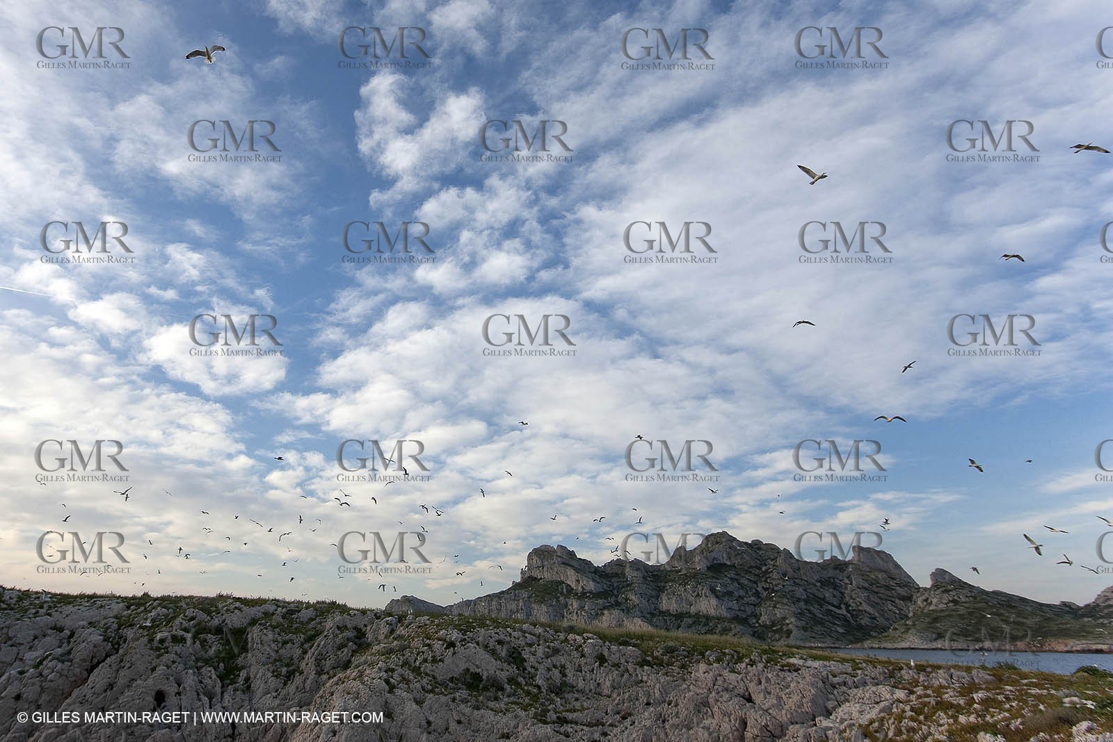 06 05 2009 - Marseille (FRA, 13) - Les Calanques - Plane Island