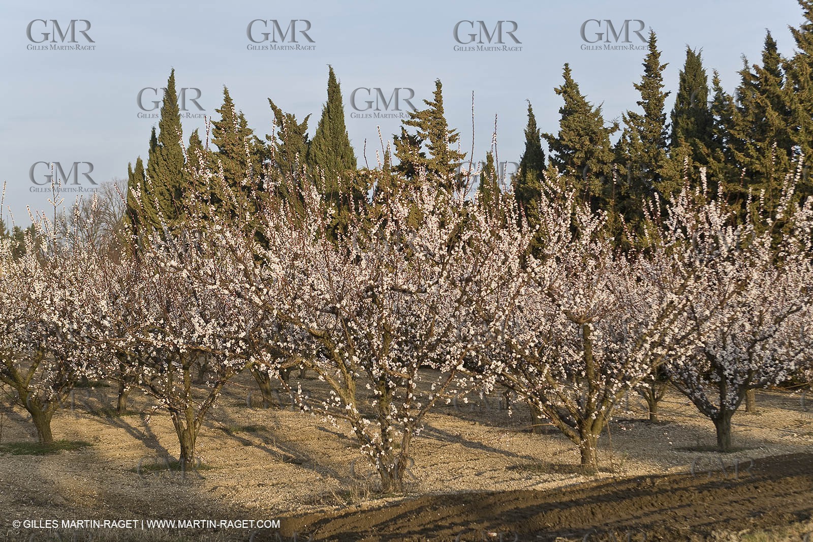 16 02 2008 - Les Baux de Provence (FRA, 13) - Alpilles hills landscapes