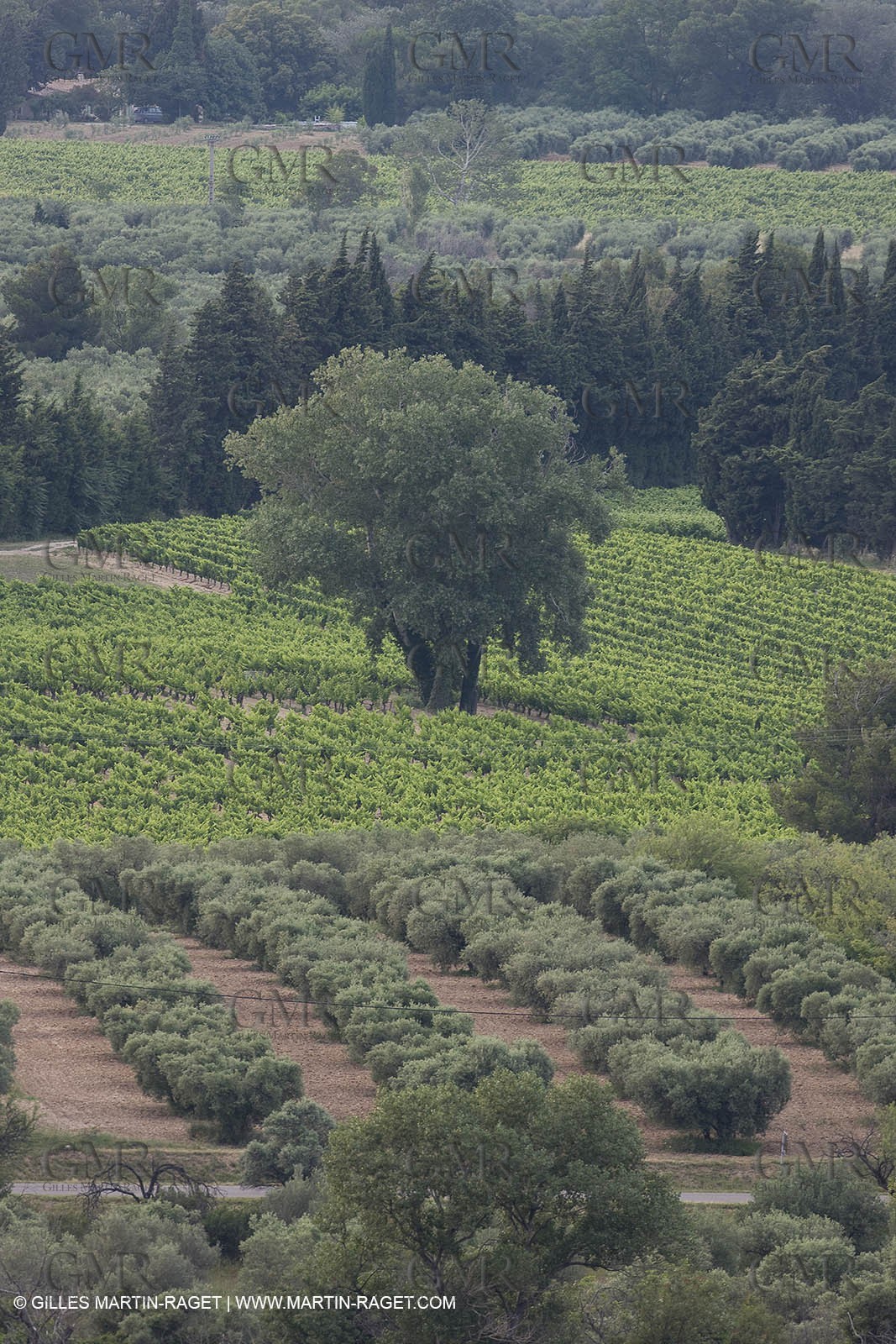 June 24th 2008 - Saint Rémy de Provence (FRA,13) - Alpilles hills landscapes