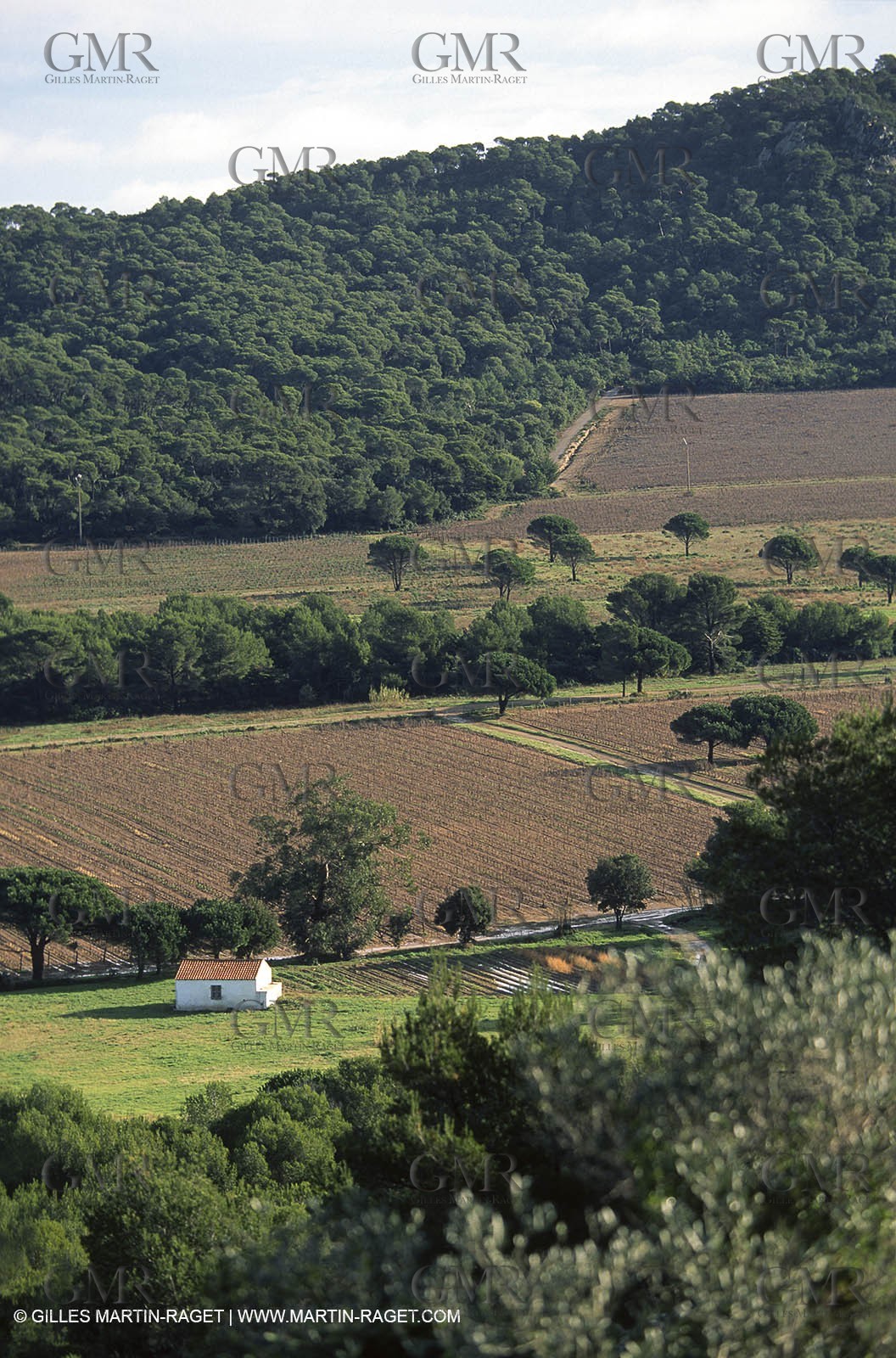 Var, 'Hyères islands, (FRA, 83), Porquerolles island
