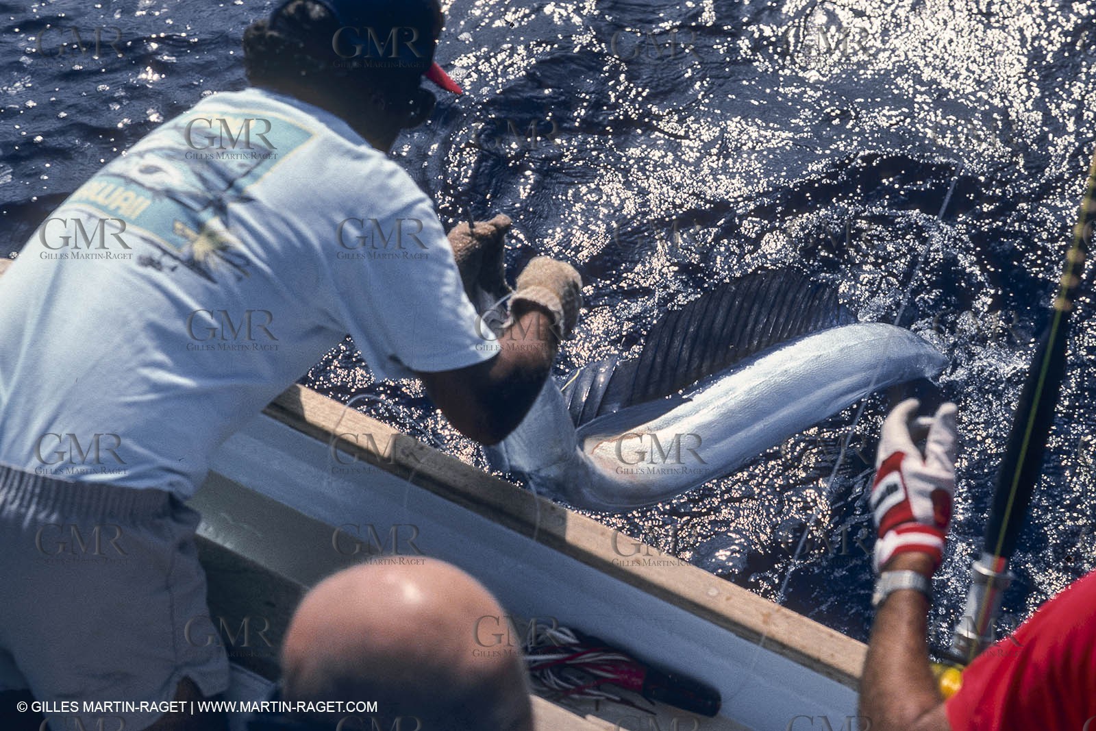 Water sports, Sportfishing, pêche au gros