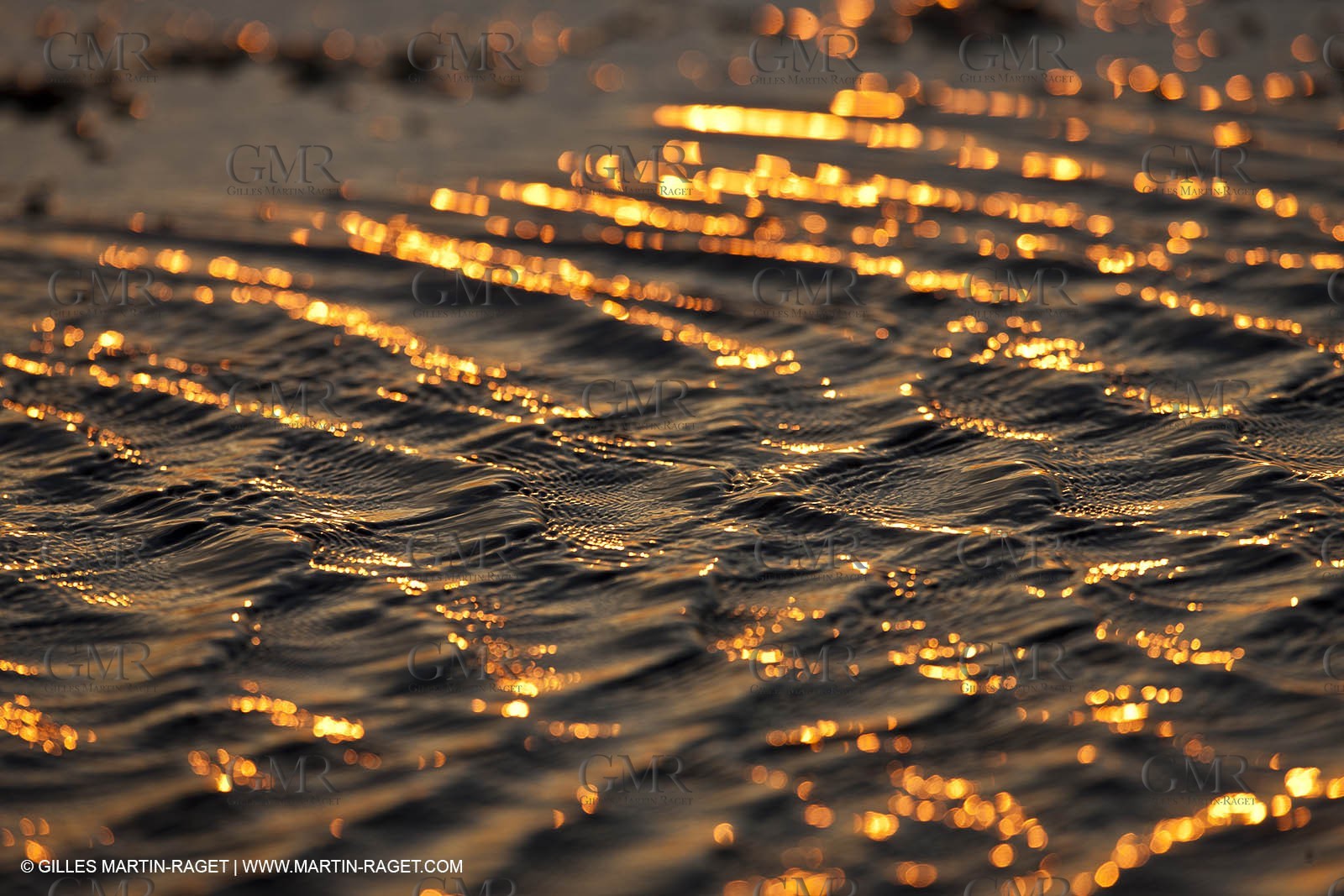 25 05 2011 - Les Saintes Maries de la Mer (FRA,13) - gypsies gathering