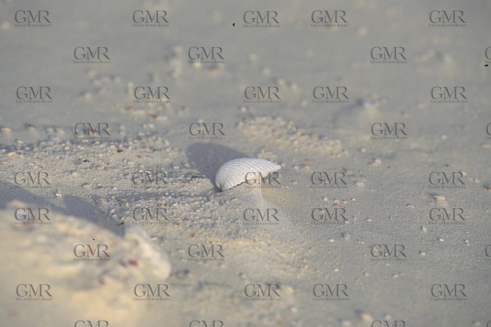 Destinations, Antilles, West Indies, Caribean, Los Roquès