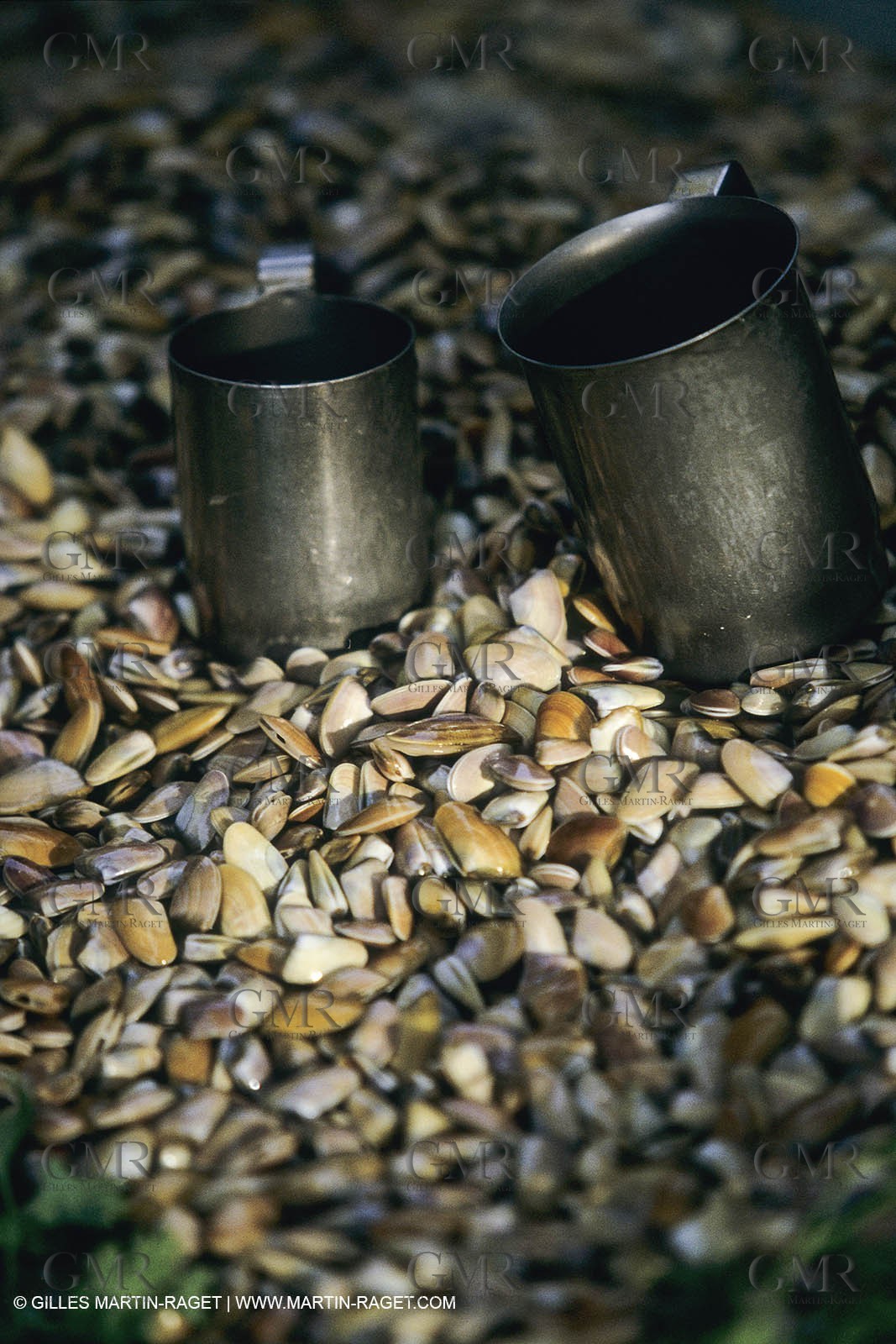 France, Provence, Camargue, Nature, plage, sable