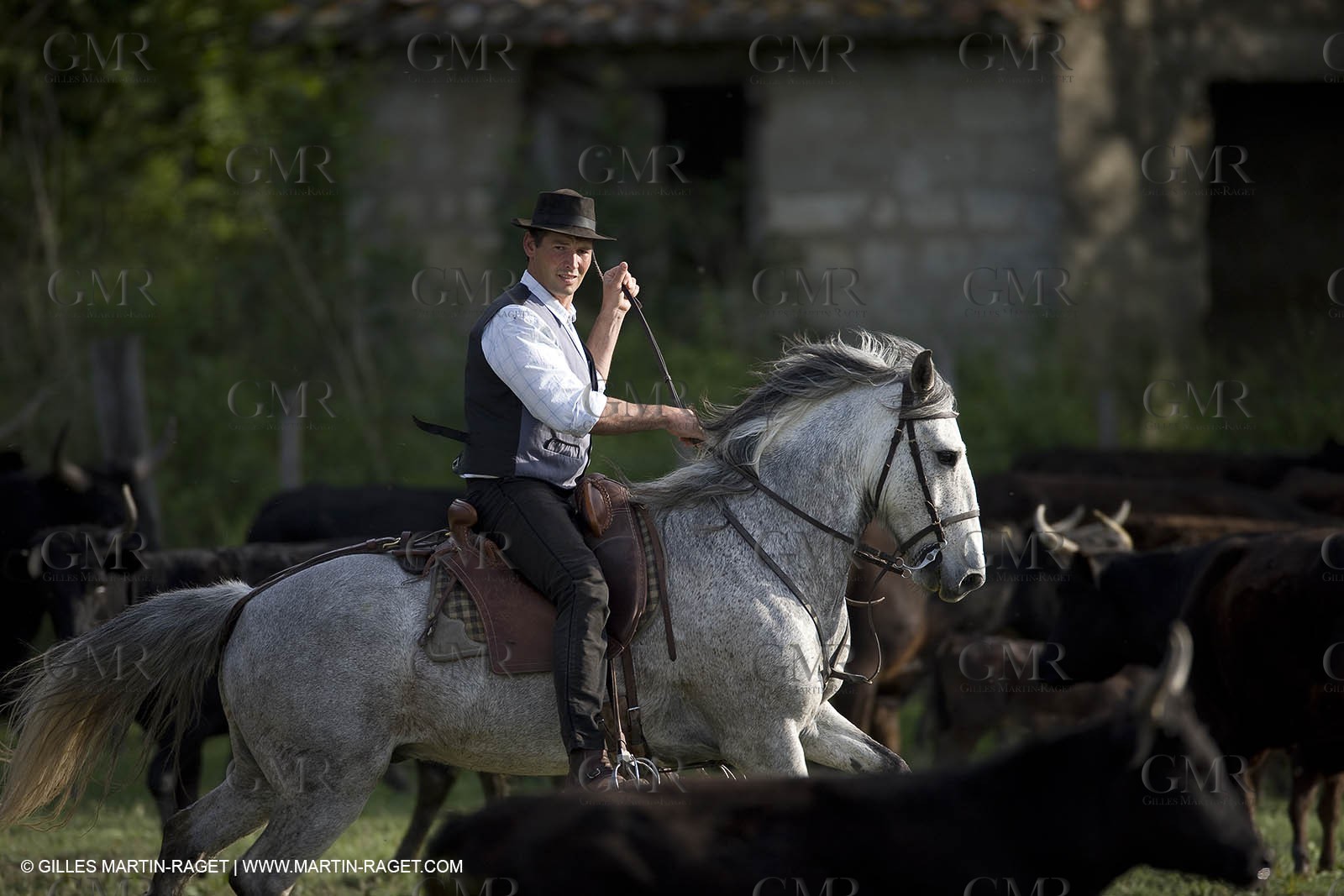 07 05 2008 - Le Cailar (FRA,30) - Stock work at Mas du Pont de Laute domain