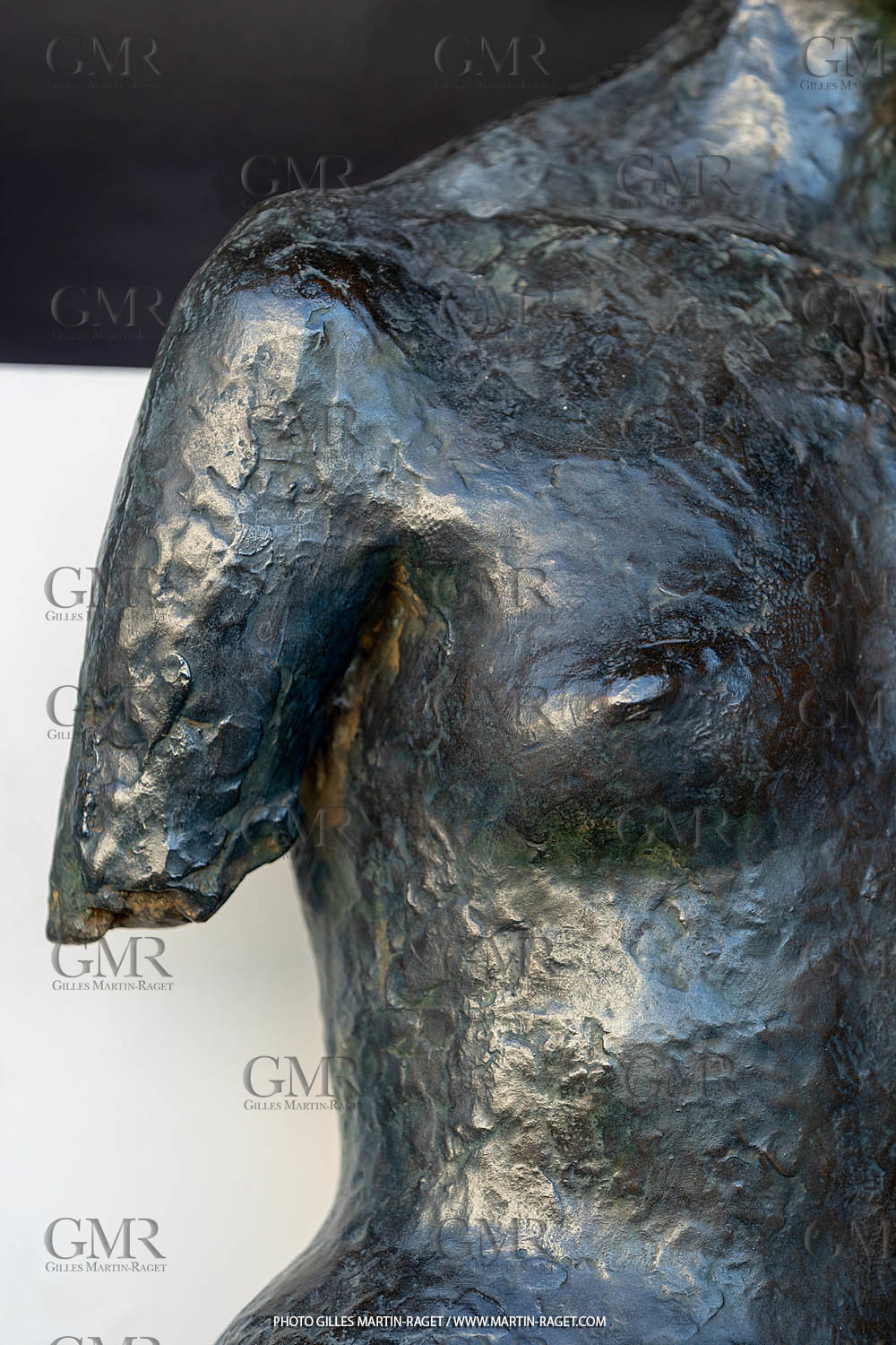 05 01 2023, Arles (FRA, 13), Oeuvre de Germaine Richier, Torse II, 1941, Epreuve d'exposition