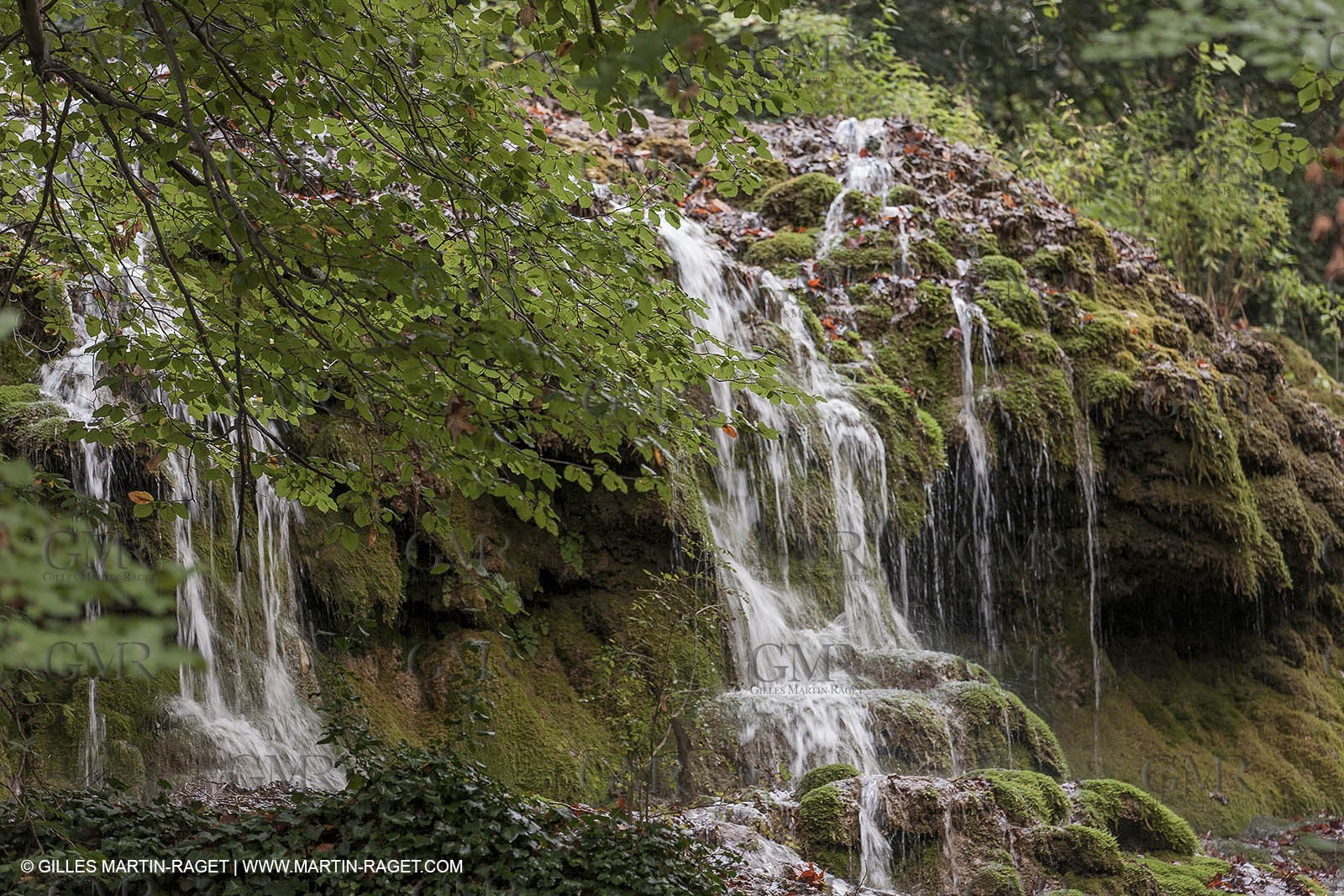 23 10 2012 - Gemenos (FRA) - Départemental Park of Saint Pons valley