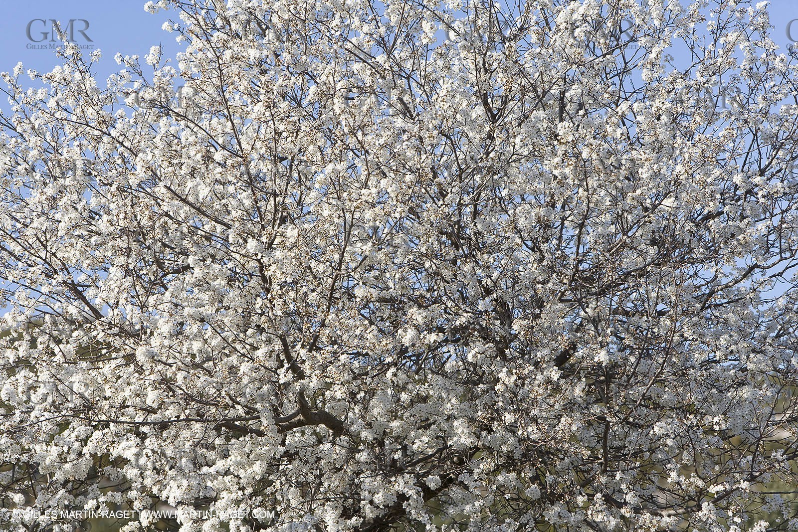 16 02 2008 - Les Baux de Provence (FRA, 13) - Alpilles hills landscapes