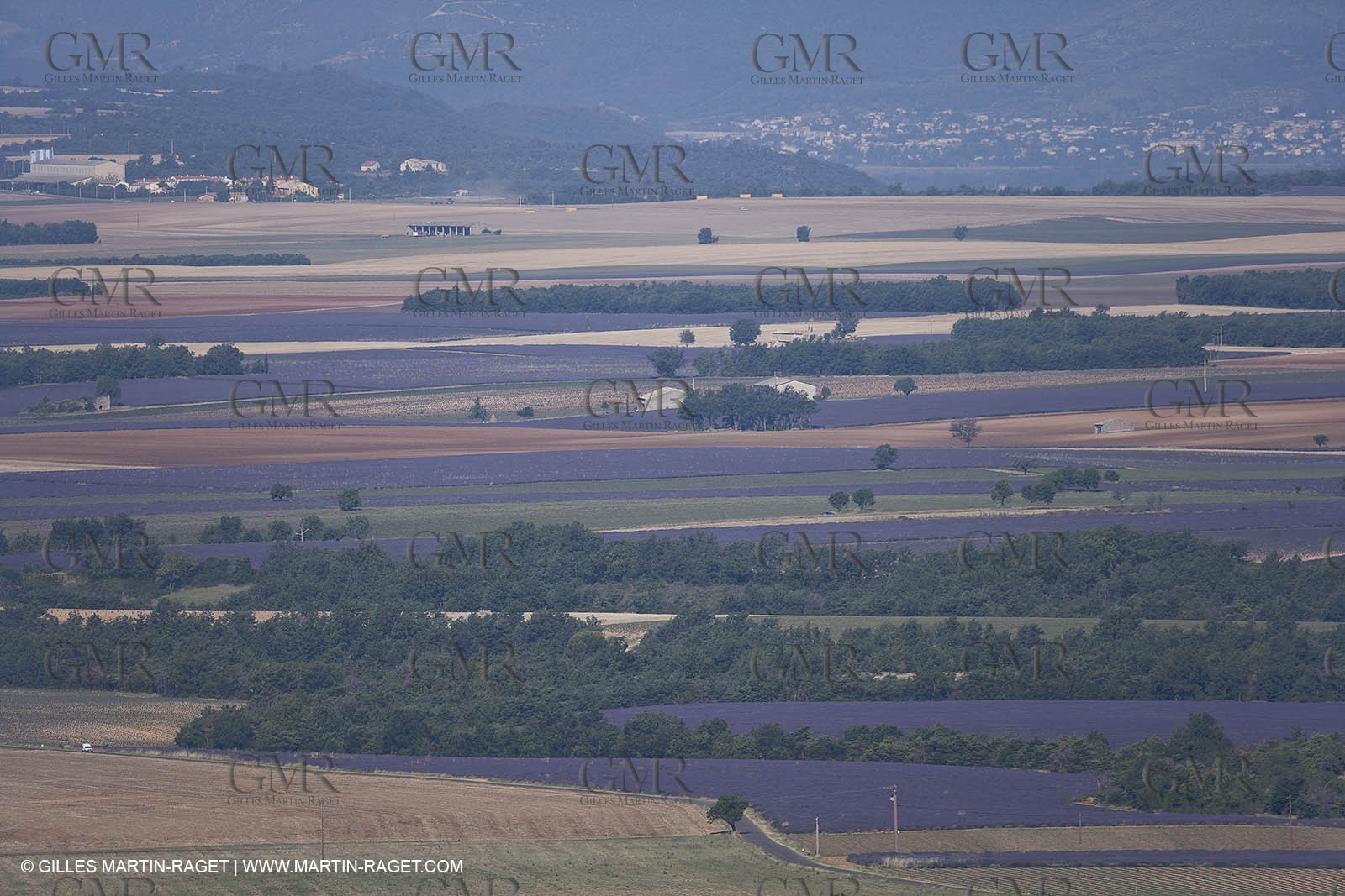 13 08 2007 - Valensole (04) - lavender fields on Valensole plateau