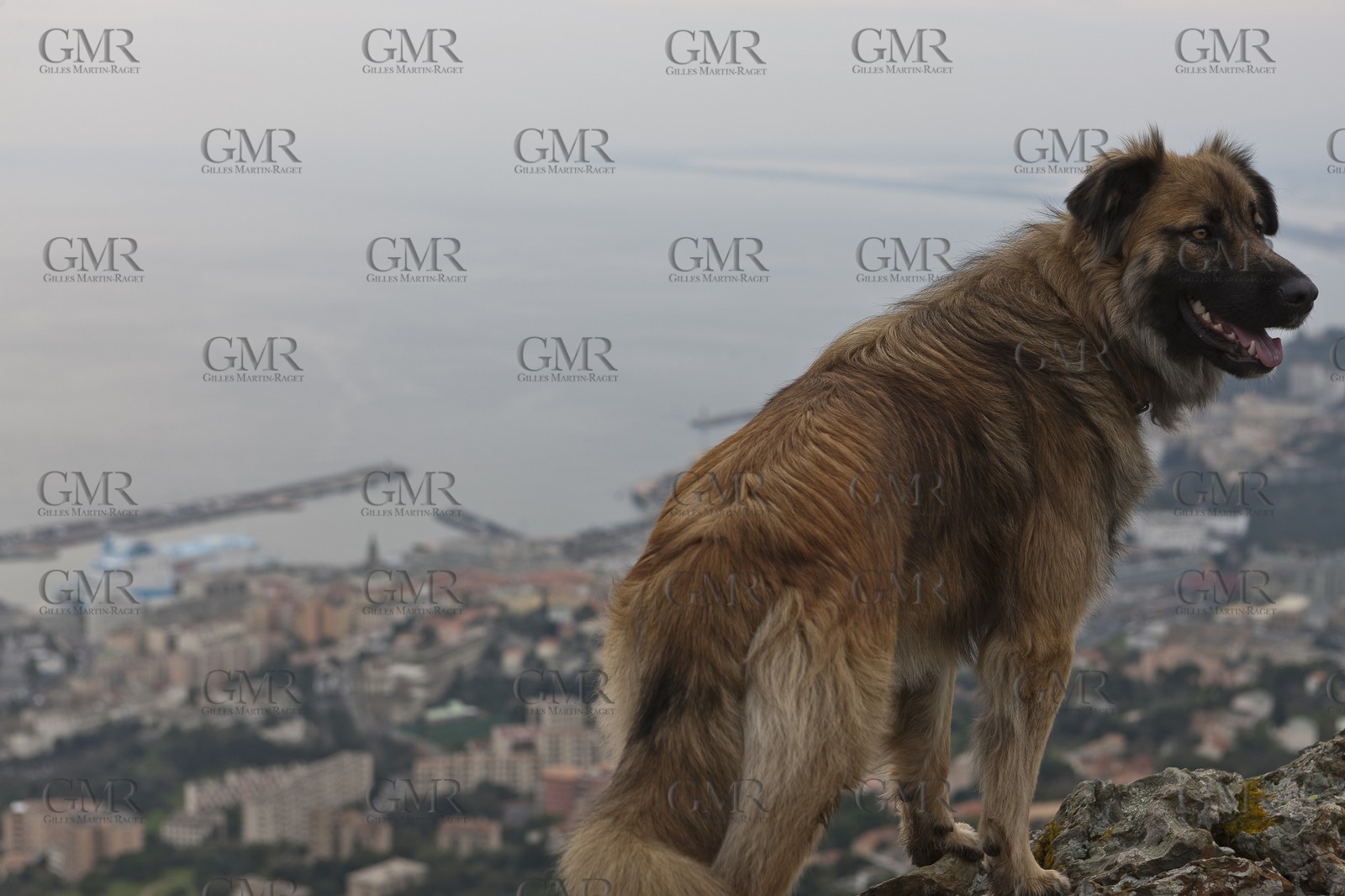 01-31-12   Marseilles (FRA,13) Bastia (FRA,Corsica)   Launching cruising trip and Christening ceremony of PIANA, last ferry ship from La Meridionale
