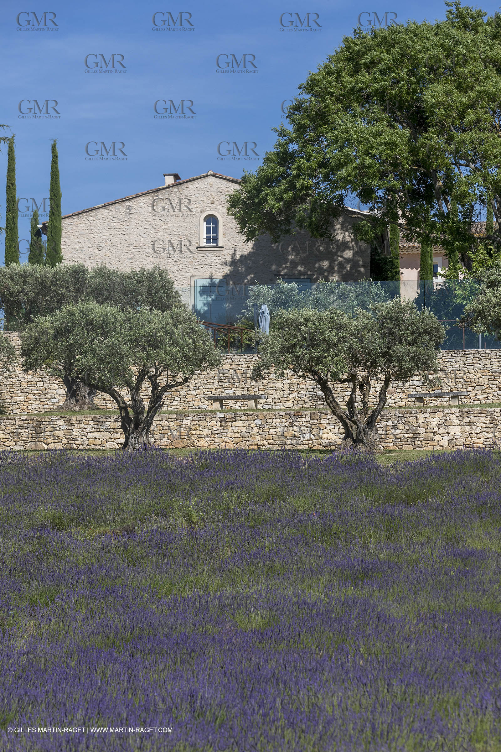 22 06 2018, Saint-Saturnin les Apts (FRA,84), Domaine des Andéols
