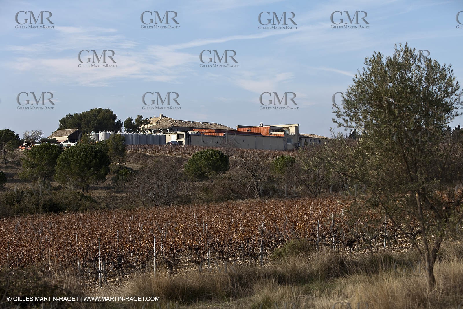 Saint Drézéry (FRA, 34), Domaine de Puech Haut