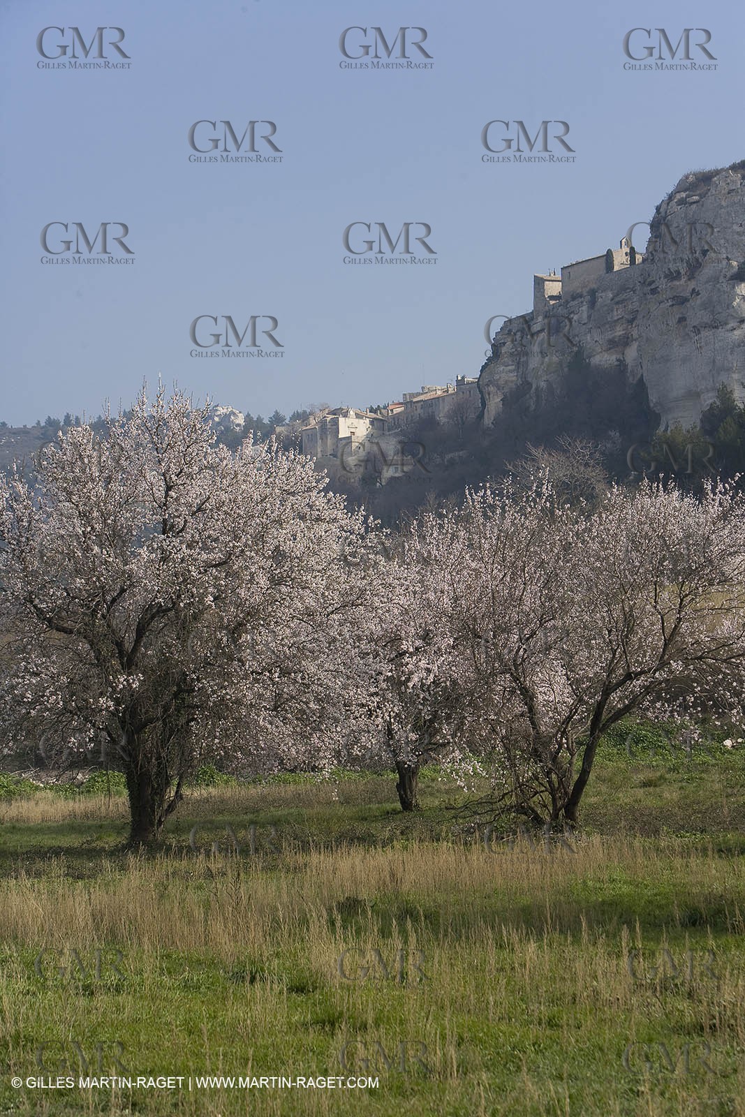 16 02 2008 - Les Baux de Provence (FRA, 13) - Alpilles hills landscapes