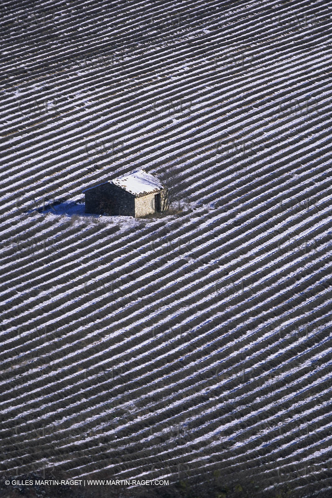 Provence under snow