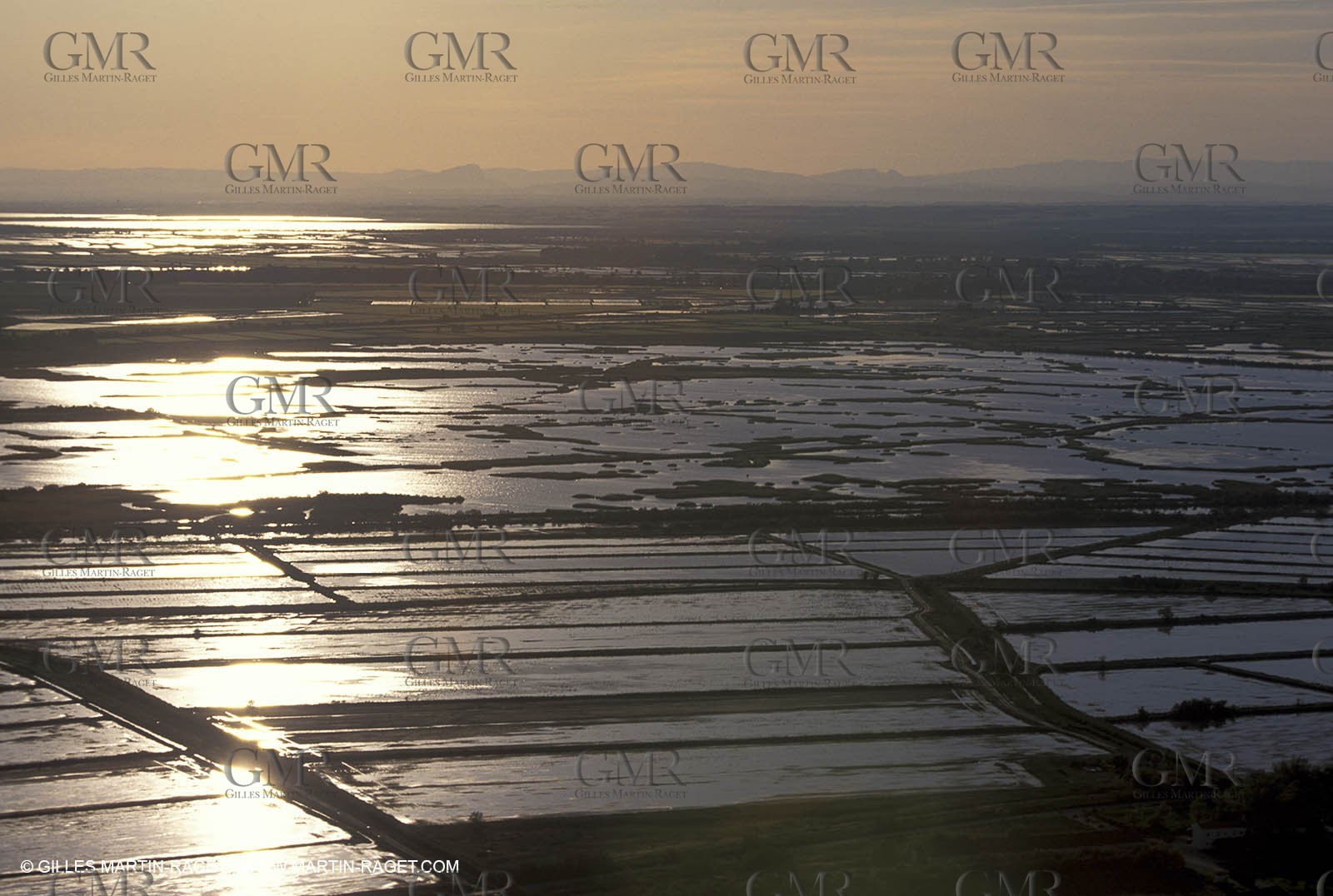 Camargue Rice fields