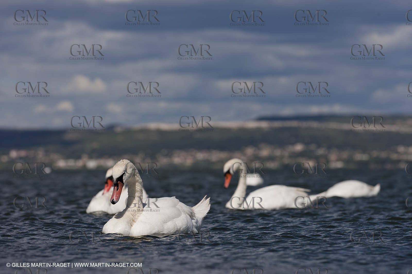 13 06 2012 - Berre l'Etang (FRA,13)