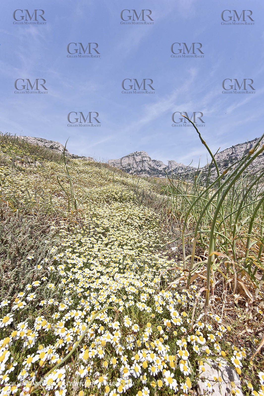 20 05 2009 - Marseille (FRA, 13) - Les Calanques - Calanque de Marseilleveyre