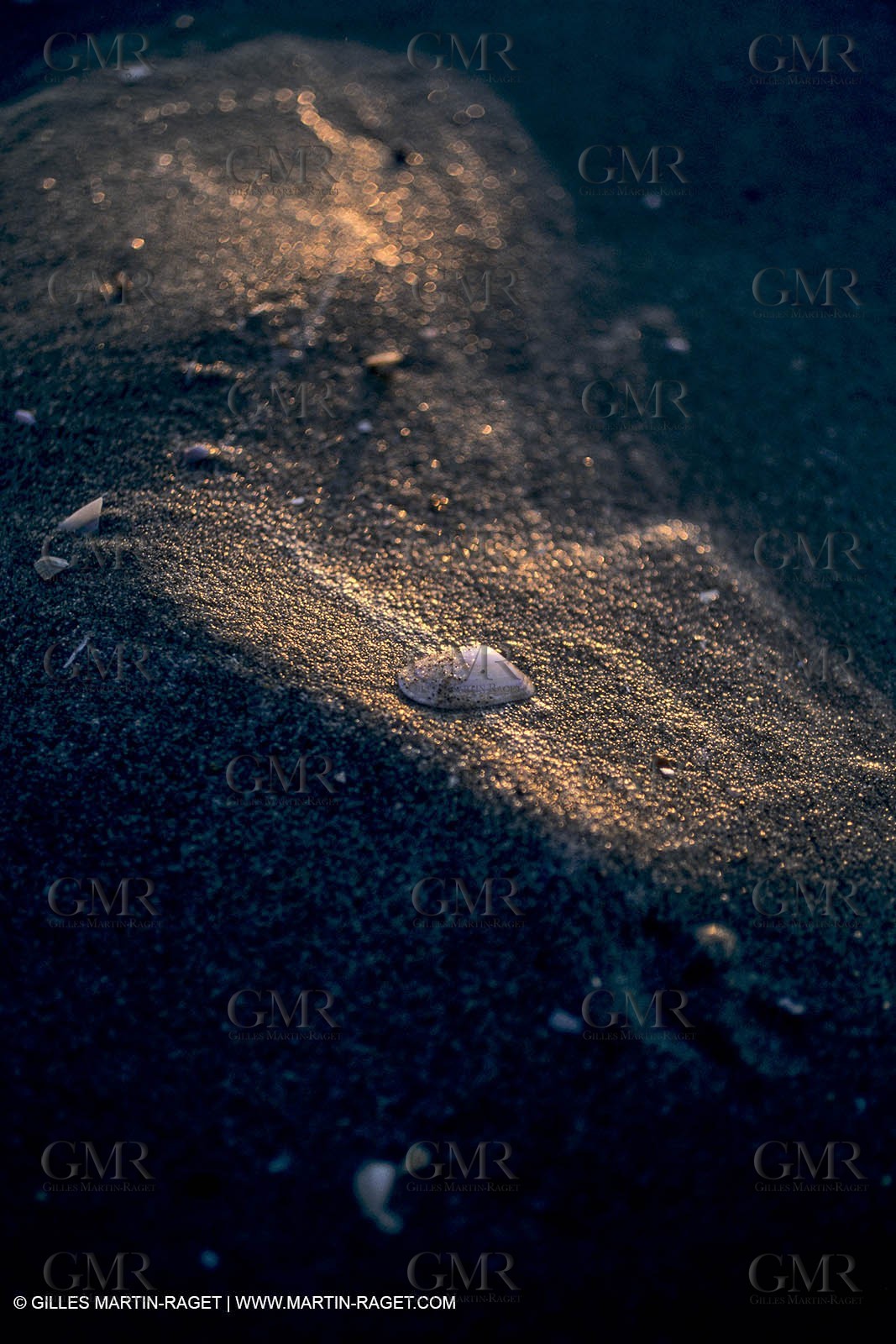 France, Provence, Camargue, Nature, plage, sable
