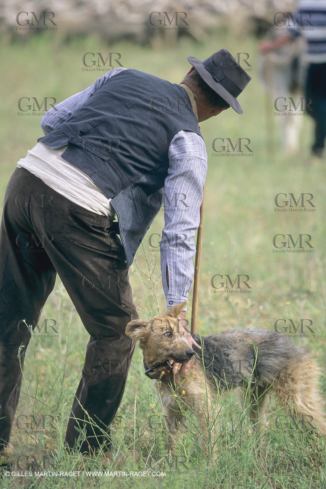 France, Provence, Moutons, bergers, élevage, transhumance