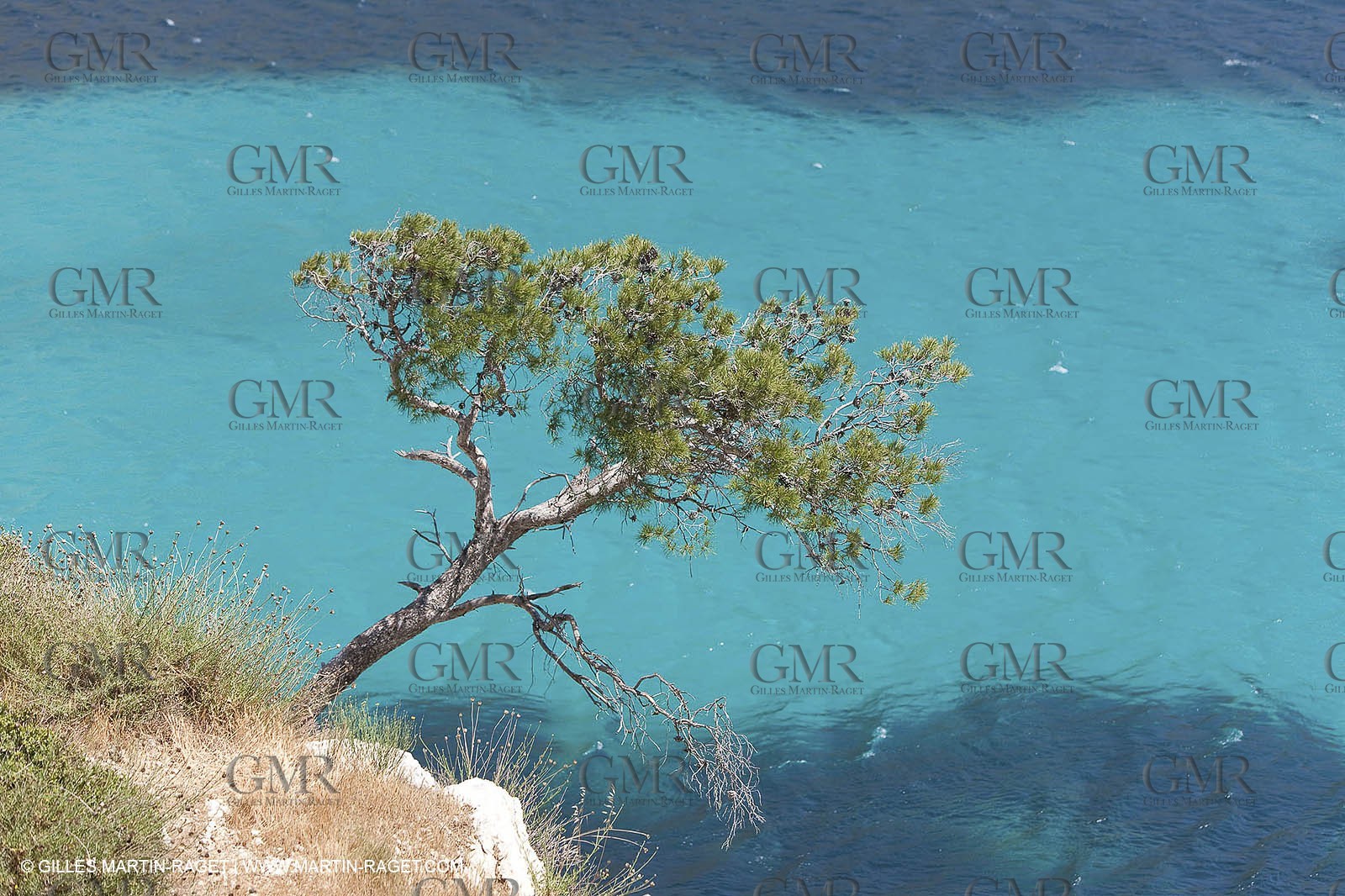 27 05 2009 - Marseille (FRA, 13) - Les Calanques - Sormiou