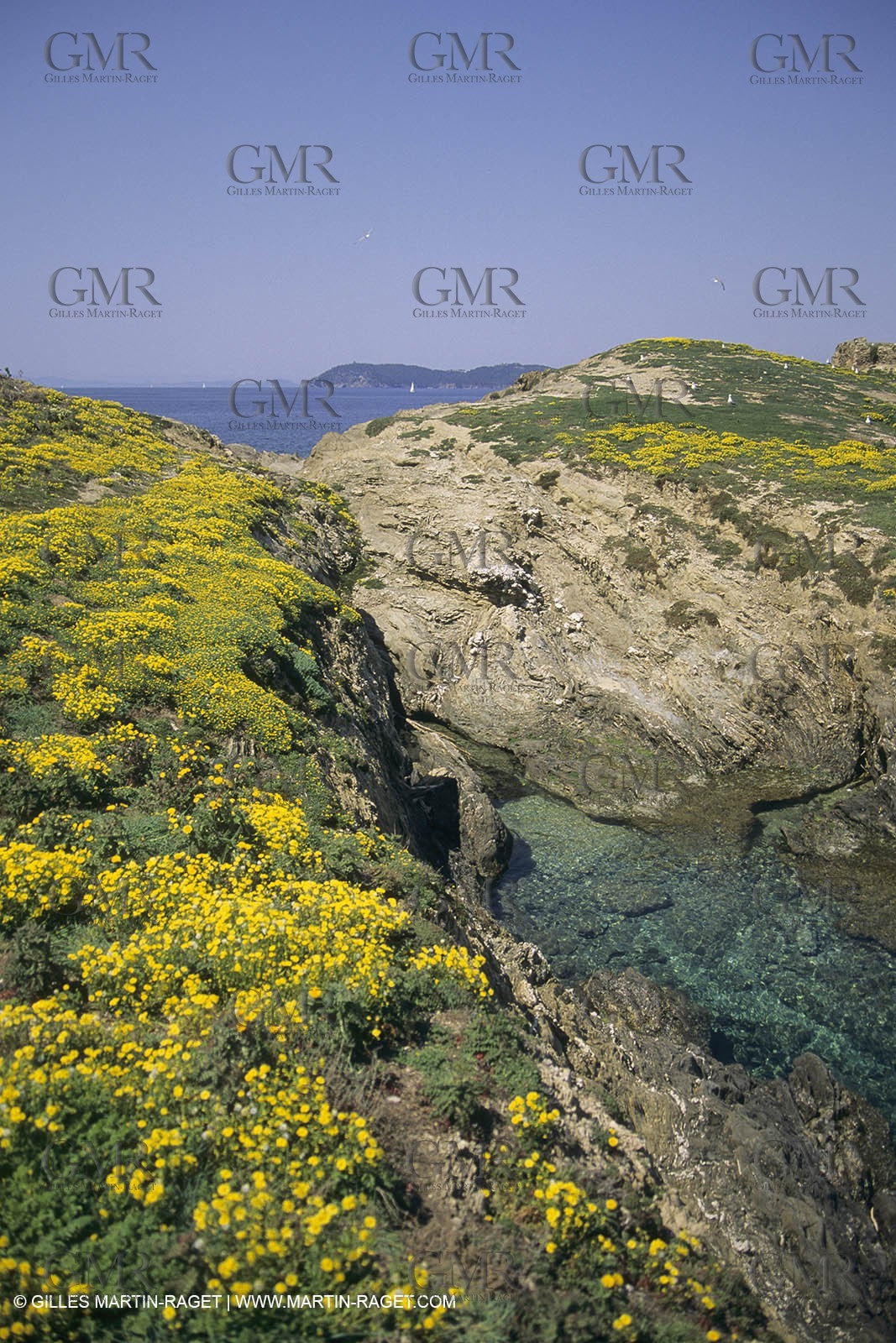 France, Provence, Iles d'Hyères, Porquerolles
