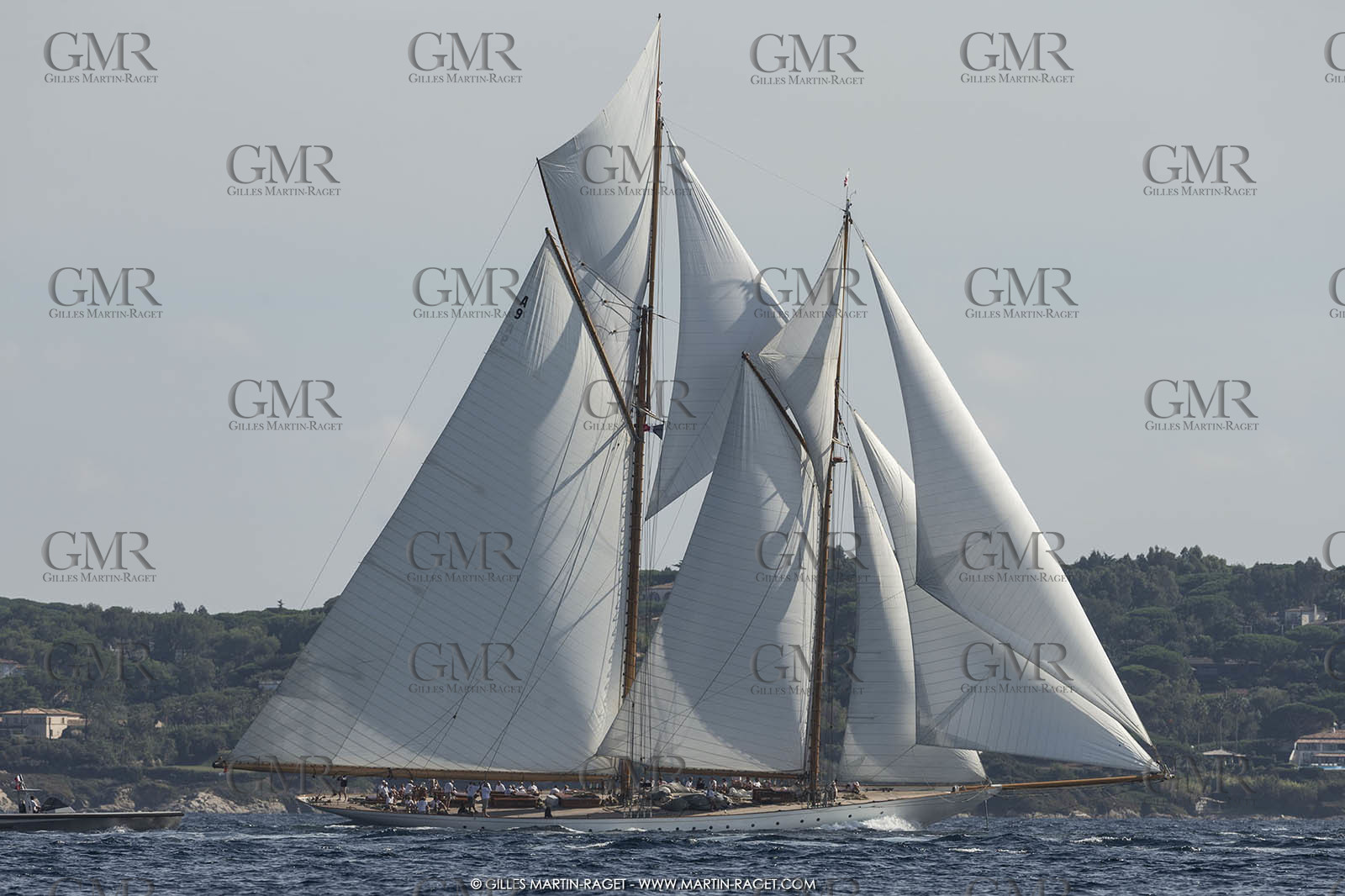 01 10 2014, Saint-Tropez (FRA,83), Voiles de Saint-Tropez 2014, Day 3,