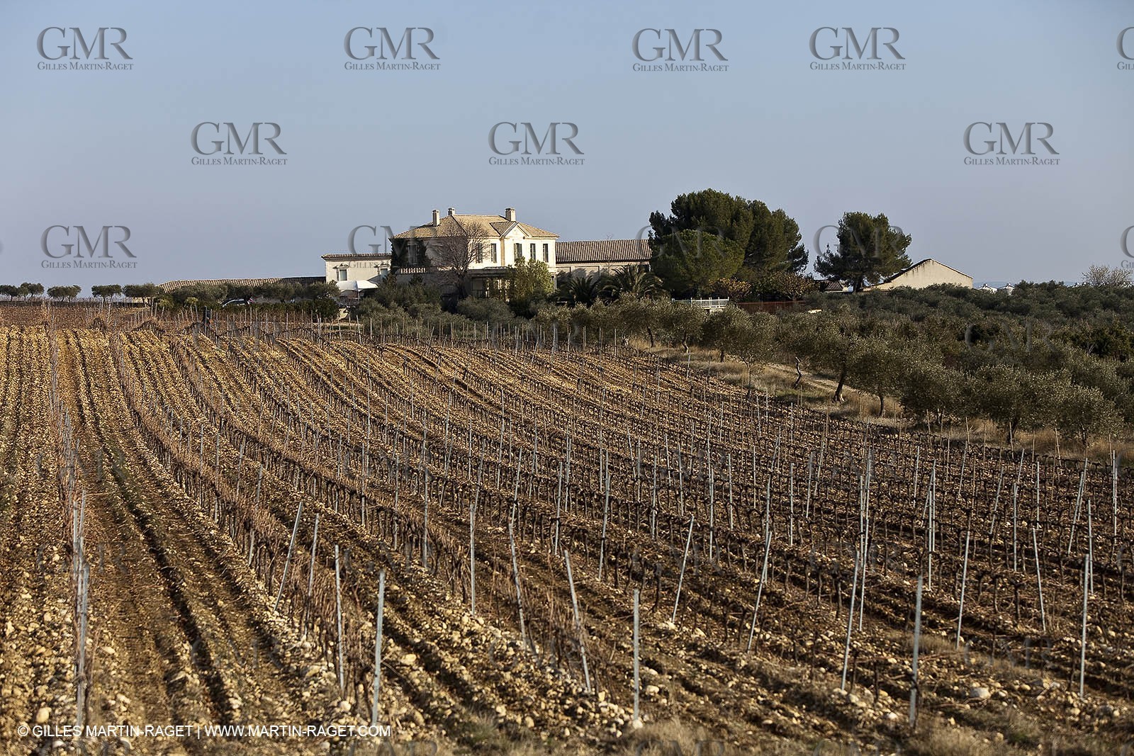 Saint Drézéry (FRA, 34), Domaine de Puech Haut