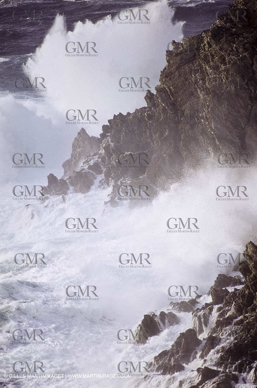 France - Var - 83 - Hyeres islands - Porquerolles