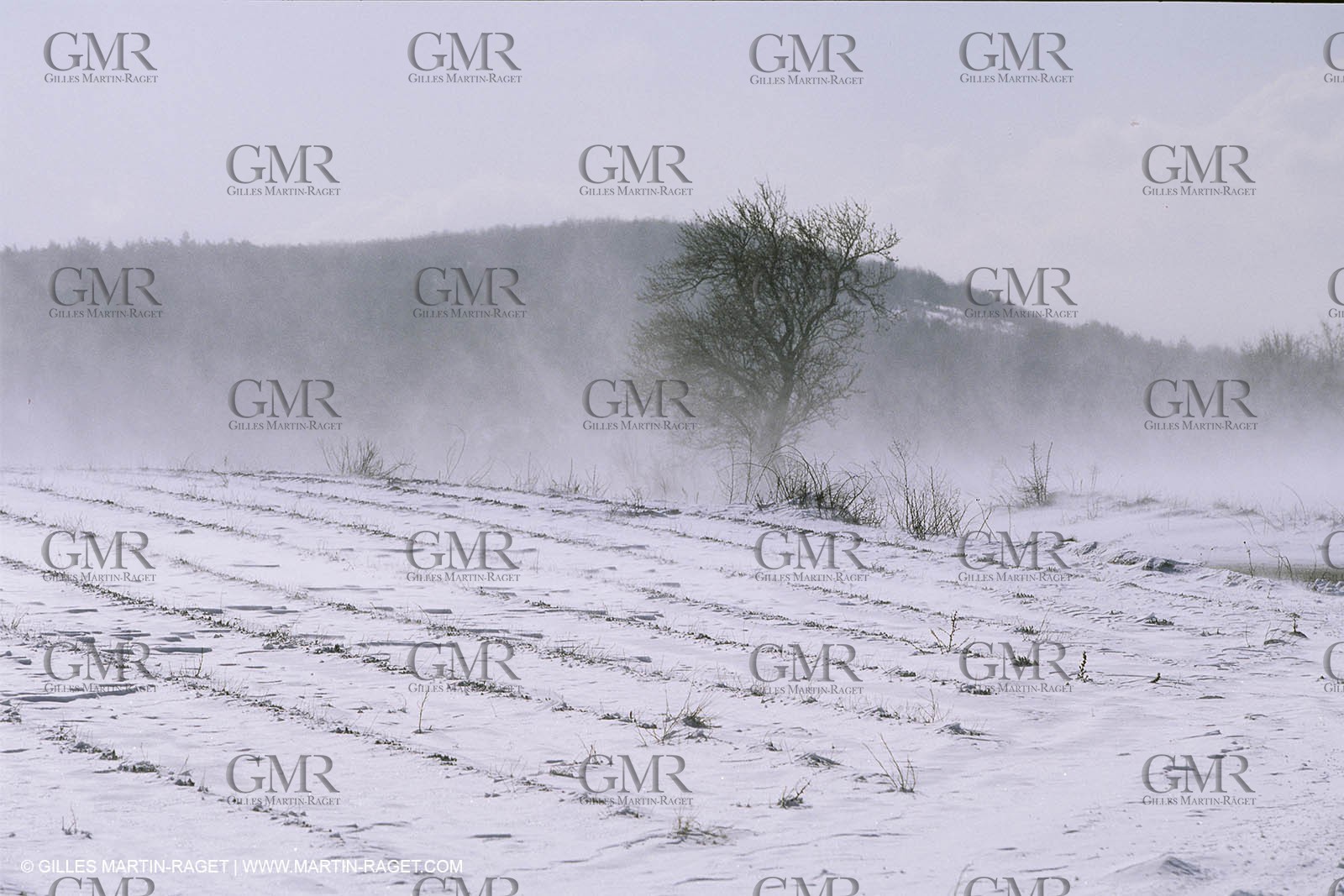 France, Provence, Neige en hiver   Snow in Provence