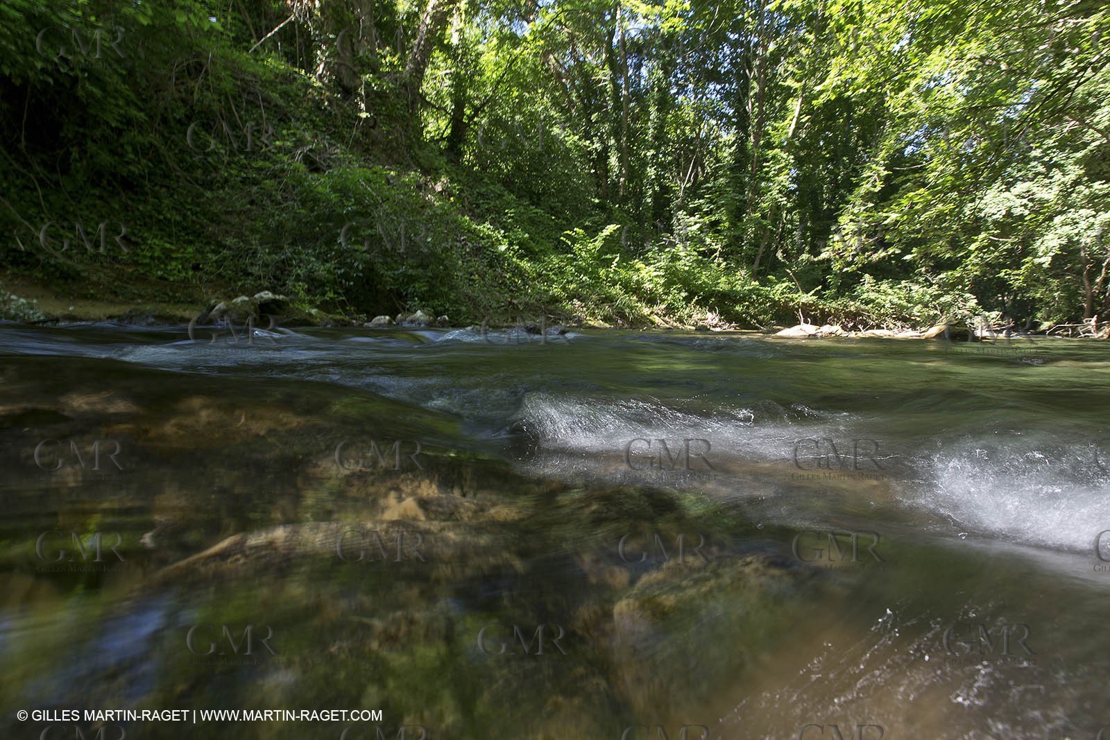 15 06 2012 - L'Huveaune à Auriol (FRA,13)