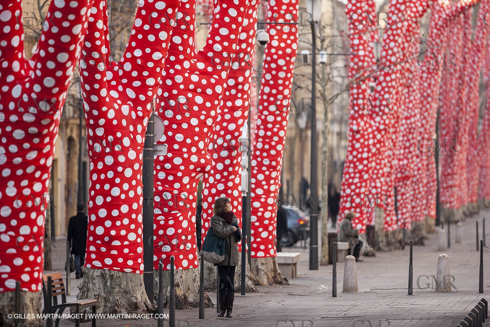12 01 2013 - Aix en Provence (FRA,13) - Marseille Provence 2013, Capitale Européenne de la Culture, L'Art à l'endroit, Oeuvre de Huang Yong Ping