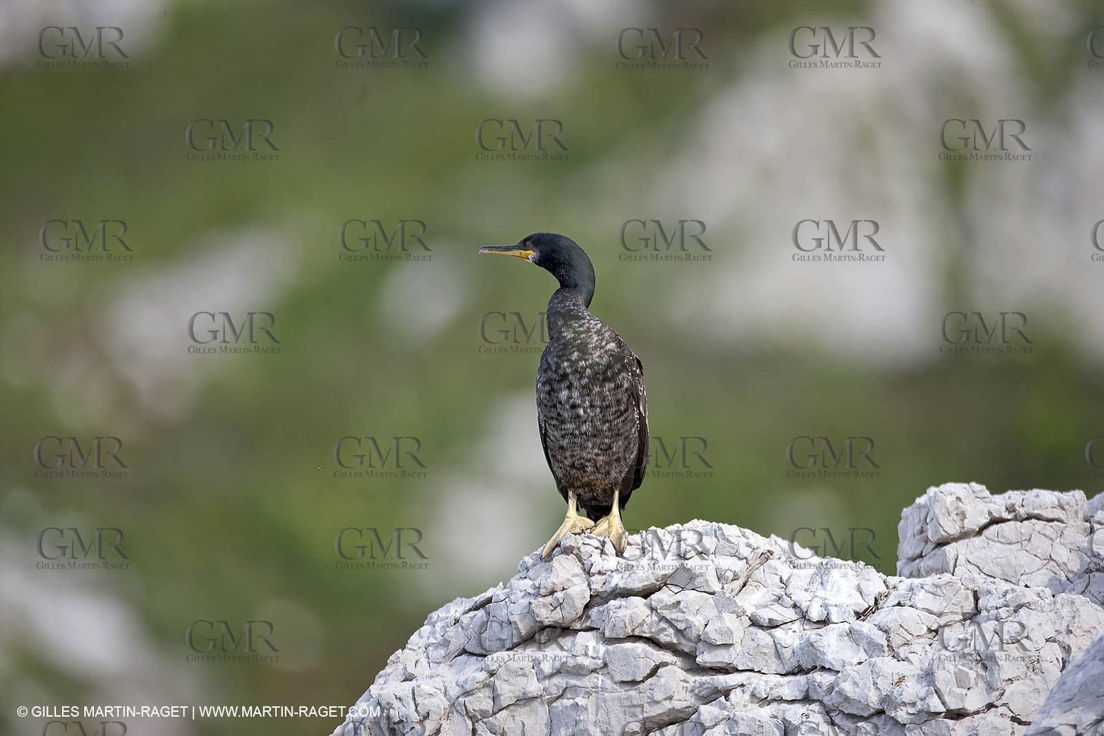 05 05 2009 - Marseille (FRA, 13) - Les Calanques - Riou island