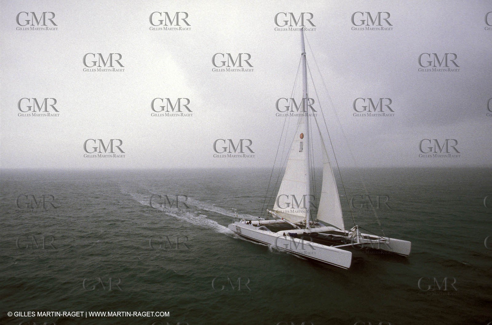 The Race - Innovation Explorer