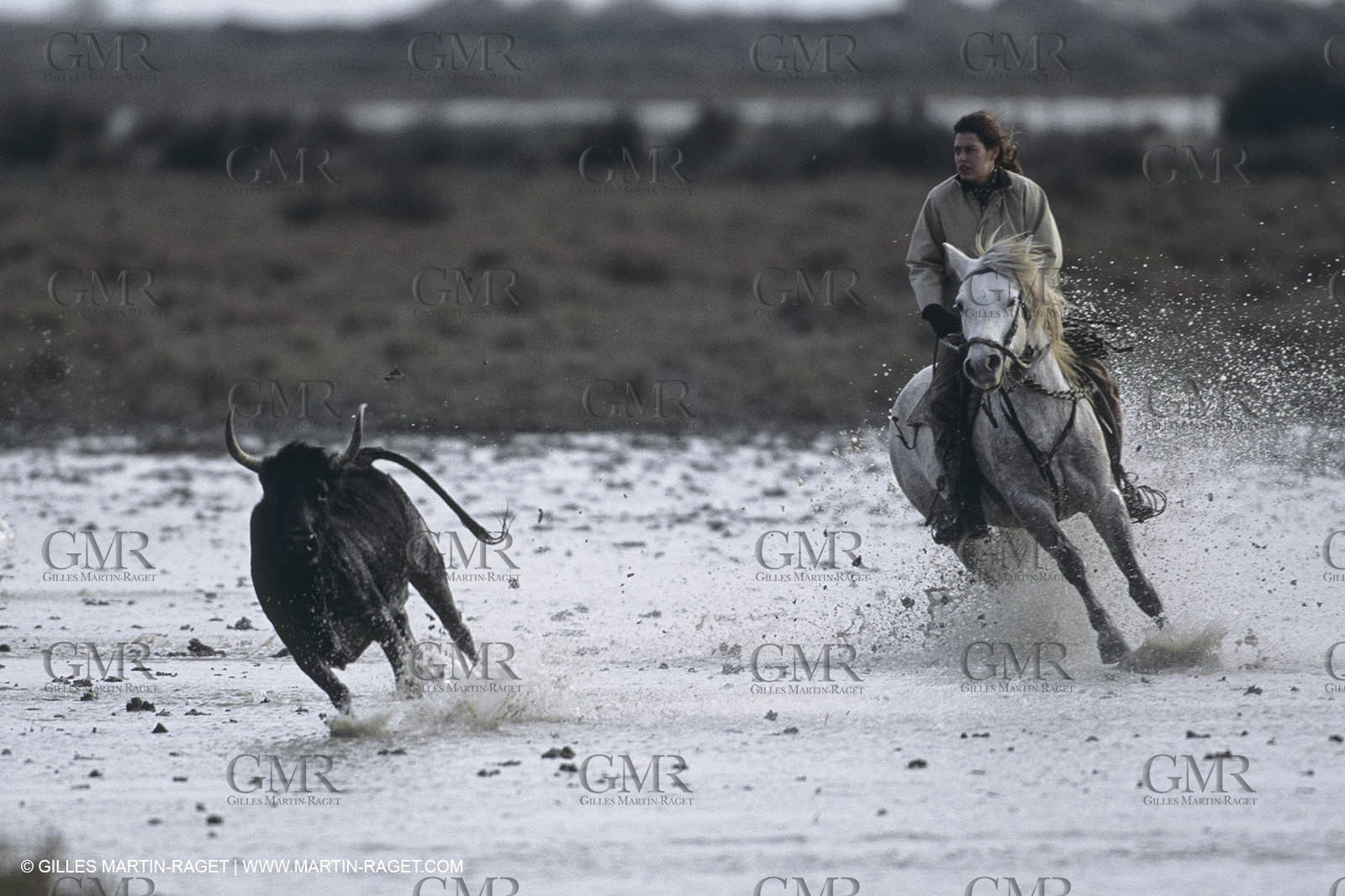 France, Provence, Camargue, Gardians de Camargue, métier, fêtes, élevage, tri