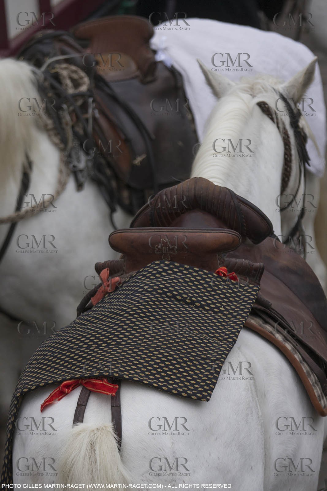 01 05 2015, Arles (FRA,13), Fête des gardians