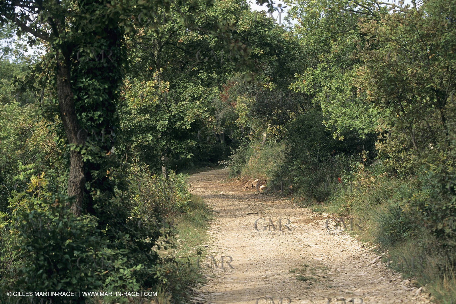Paysages de Nîmes Métropole (FRA,30) - La Garrigue