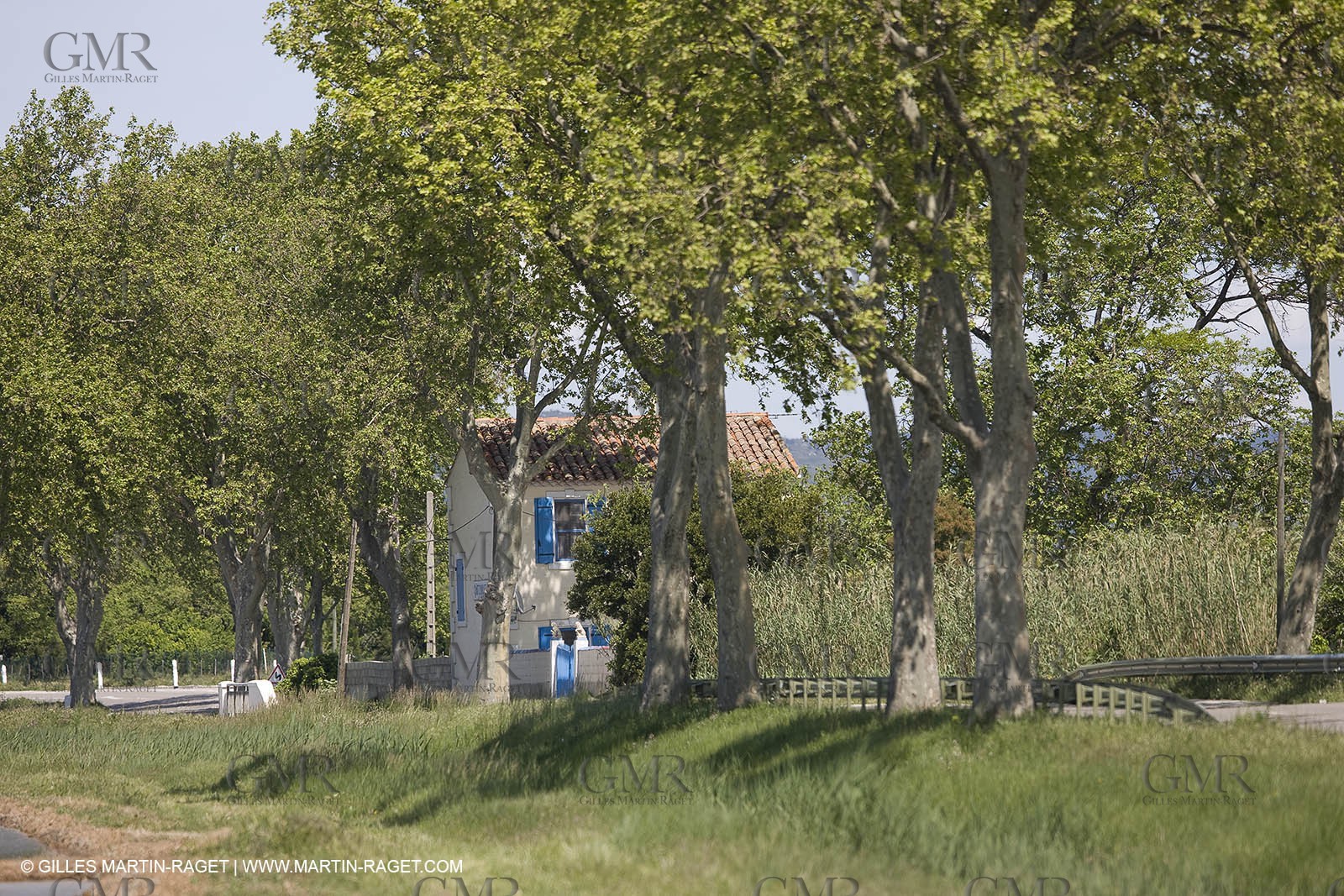 01 05 2008 - Arles (FRA,13) - Queen of Arles election