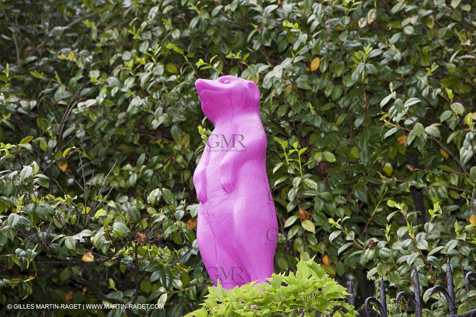 06 05 2010 - Portofino (ITA) - Nespresso Cup