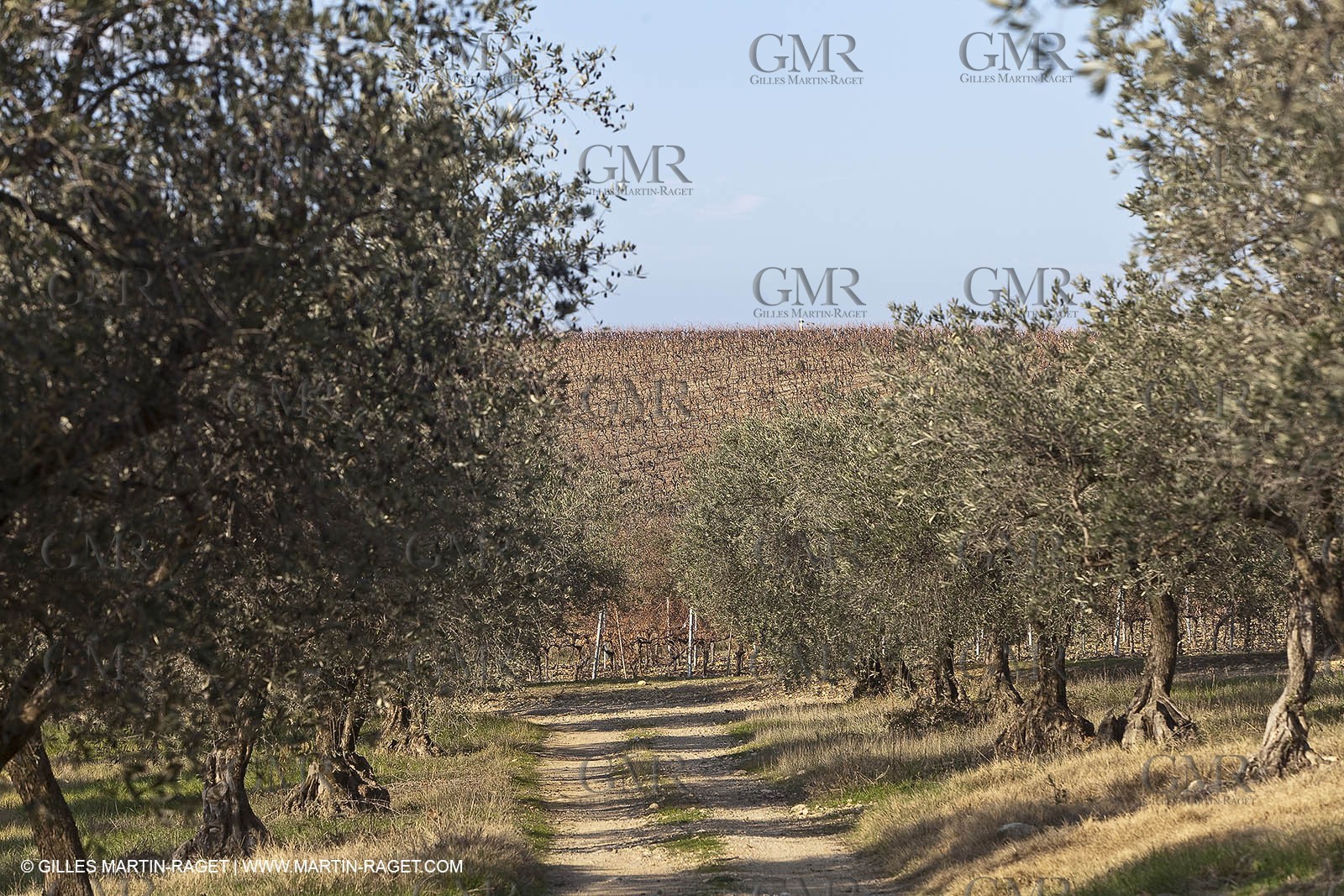 Saint Drézéry (FRA, 34), Domaine de Puech Haut