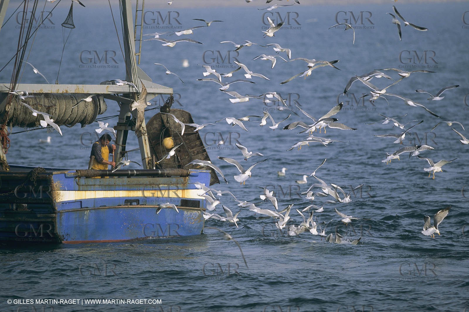 France, Provence, Pêche , Barques, pointus, pêche locale
