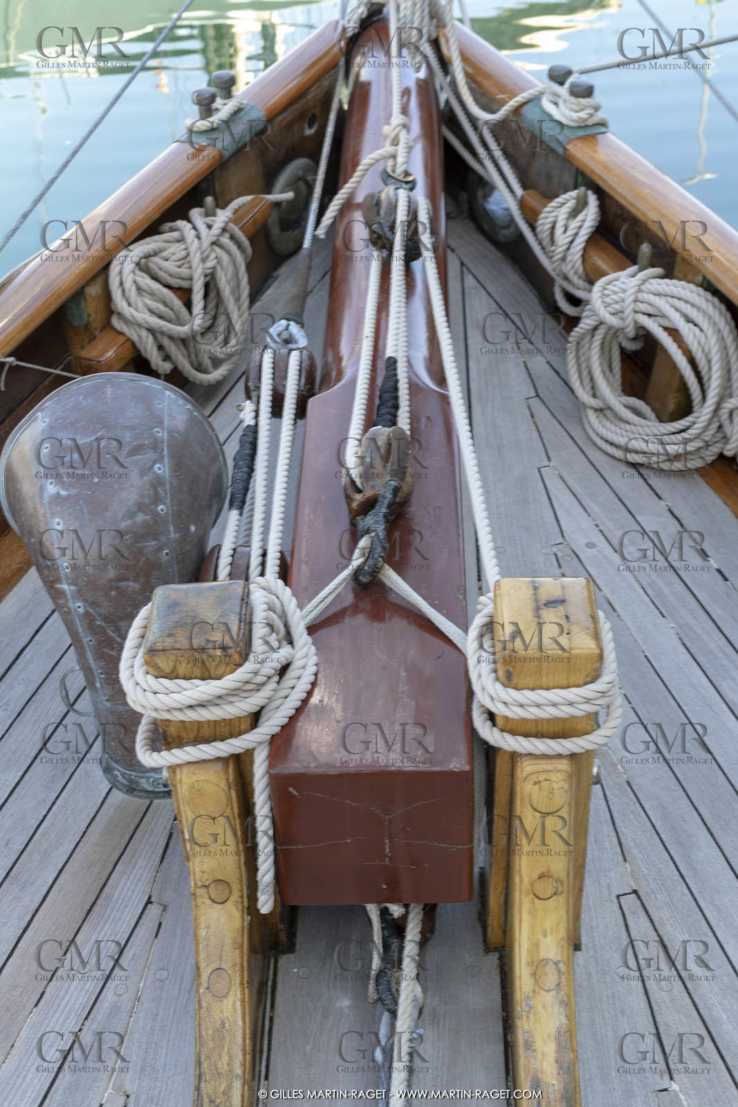 29 03 2019, Barcelona (Spain), Marigold