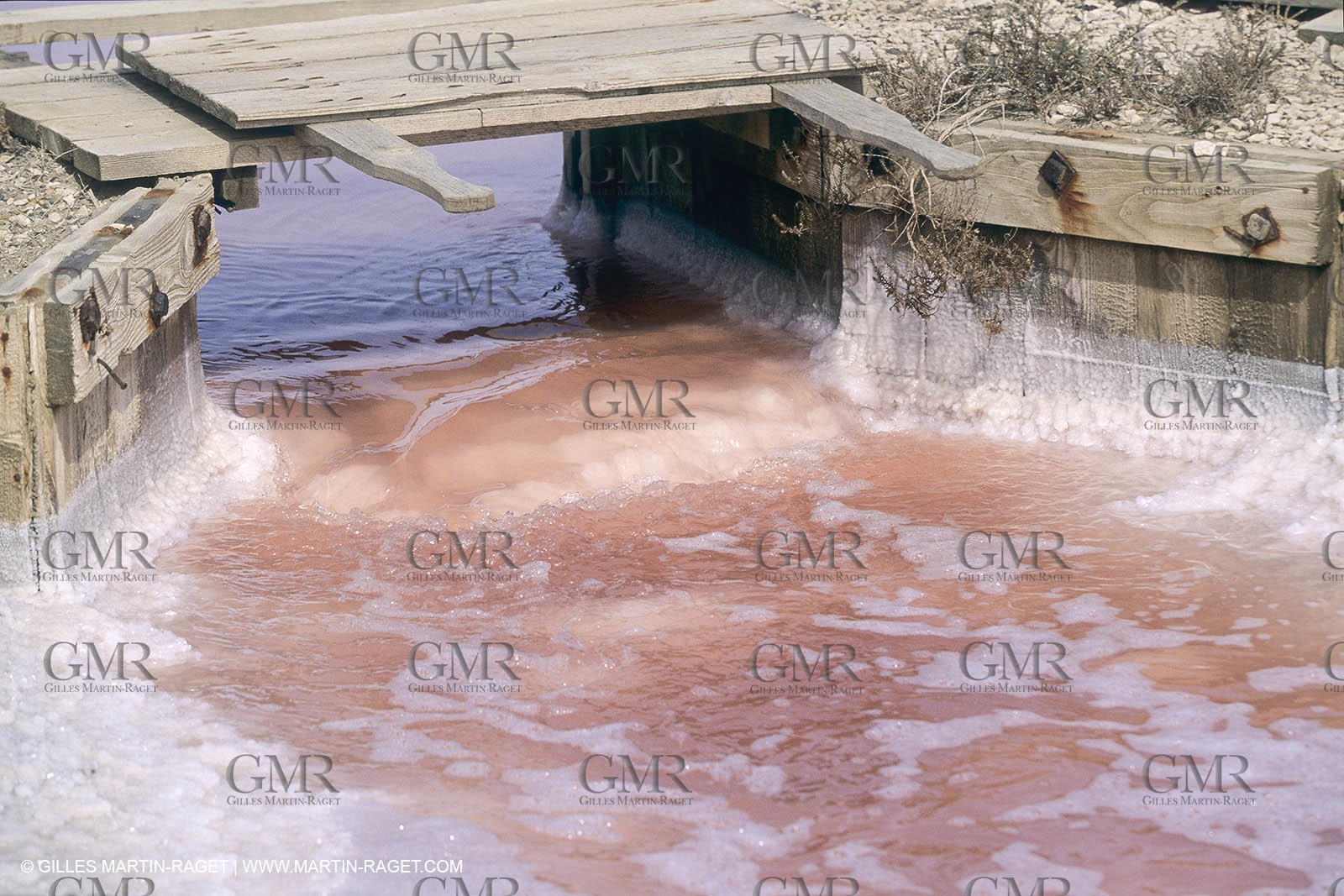 France, Provence, Camargue, Marais salant, Salted marshes