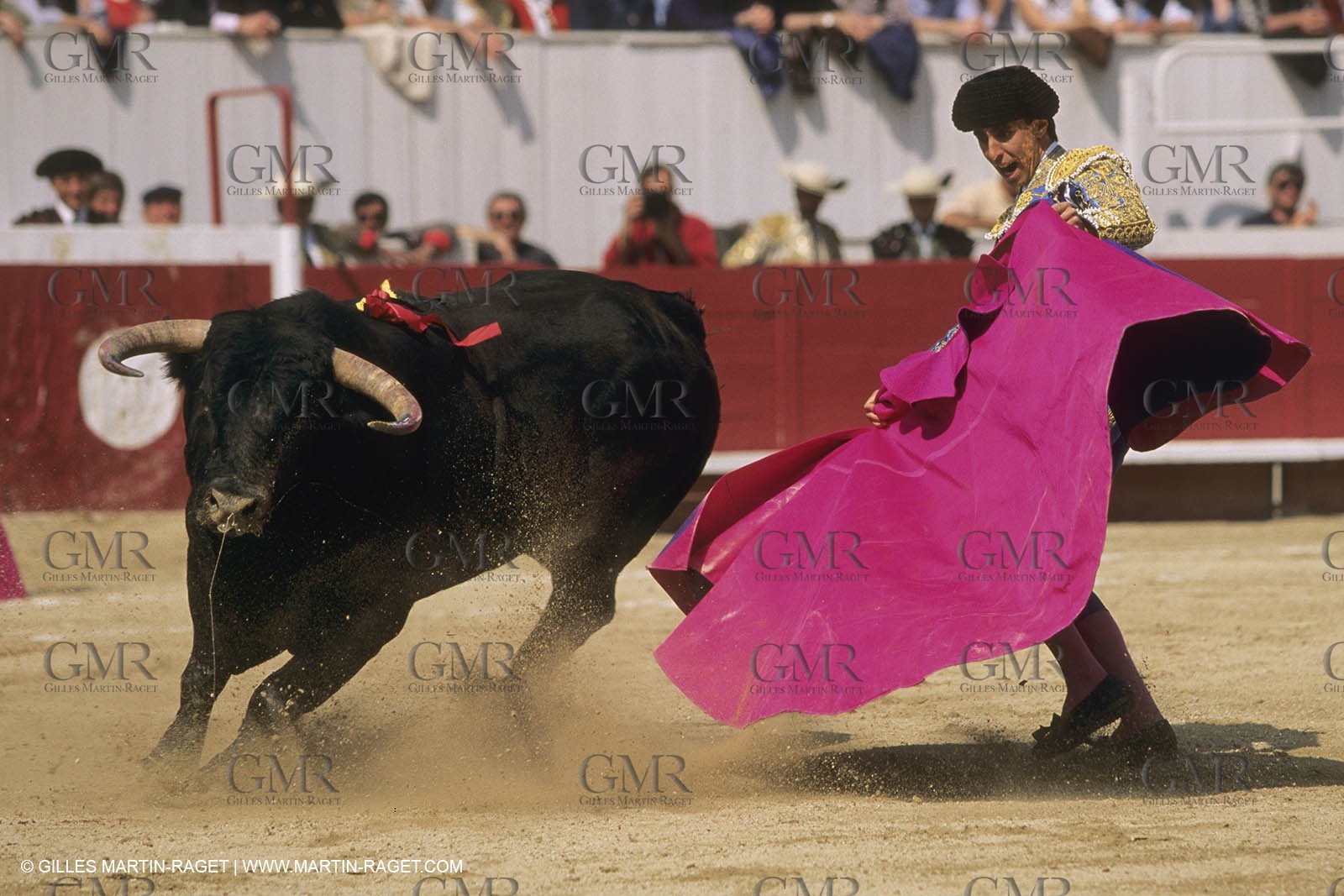 France, Provence, Traditions, tauromachie,