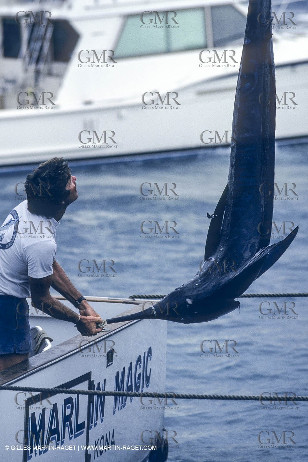 Water sports, Sportfishing, pêche au gros