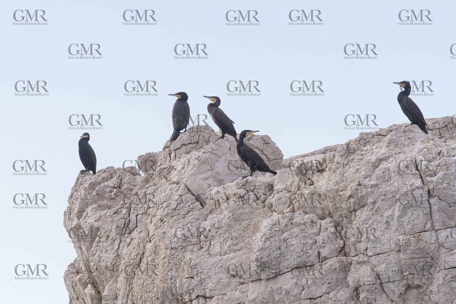 08 01 2016, Marseille (FRA, 13), Cruising in winter in the Calanques