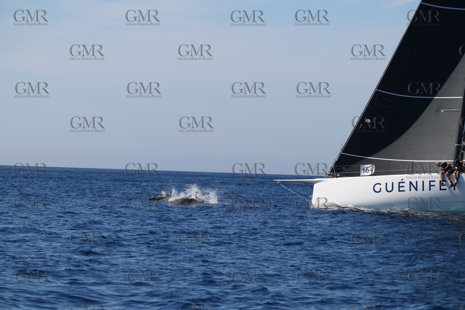 GMR_JurisCup25_3348.jpg